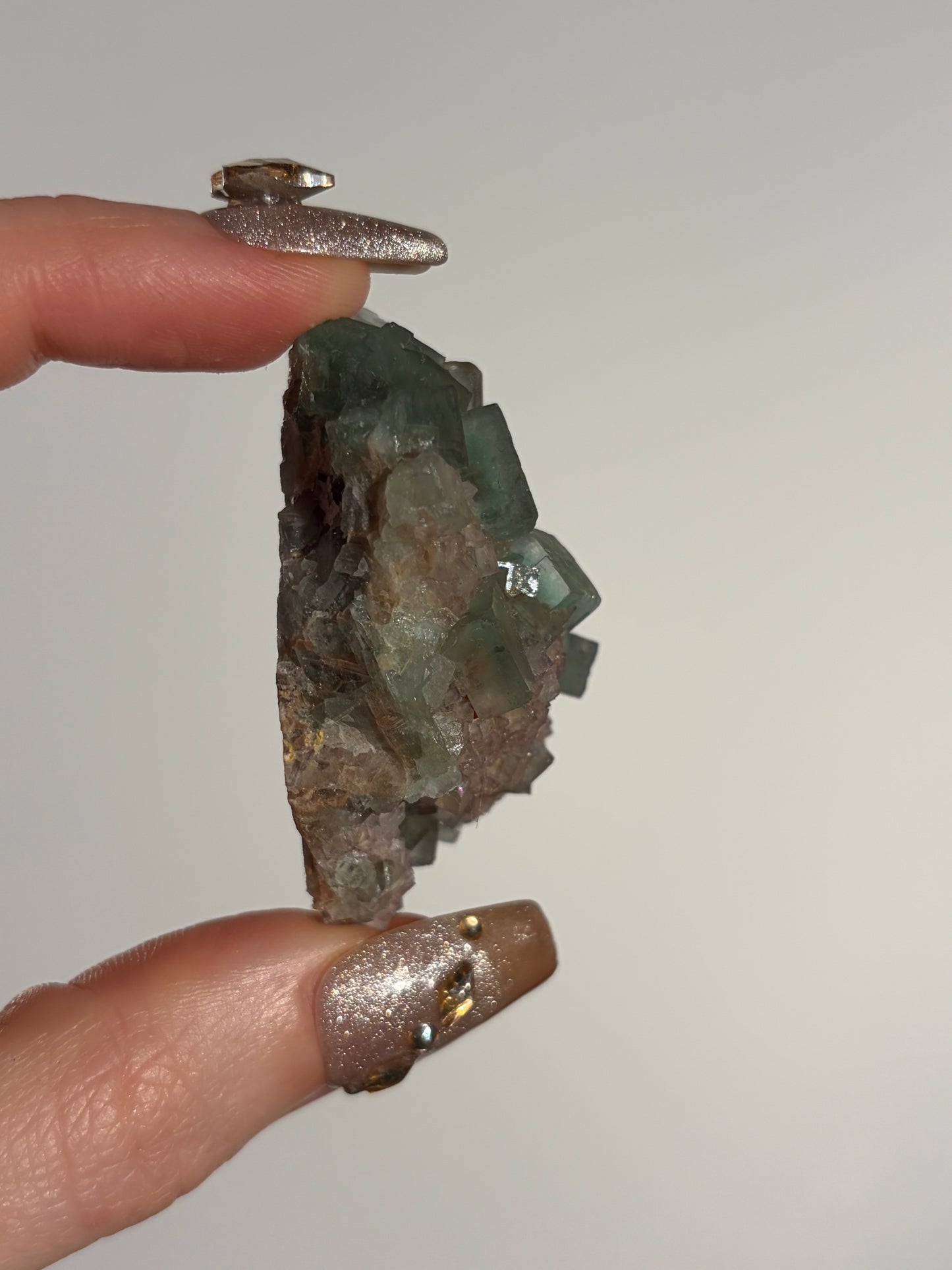 Halo Garden Fluorite Specimen G