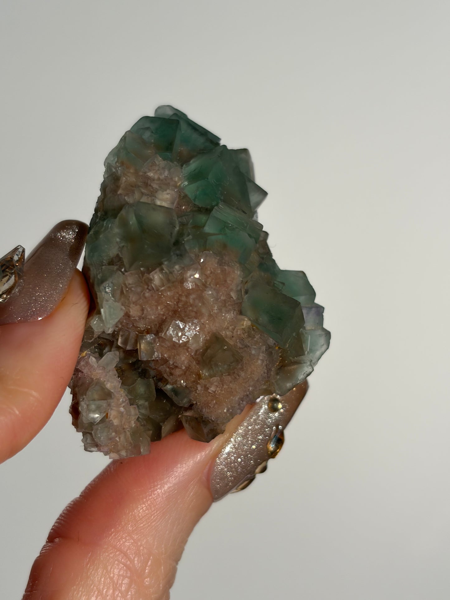 Halo Garden Fluorite Specimen G