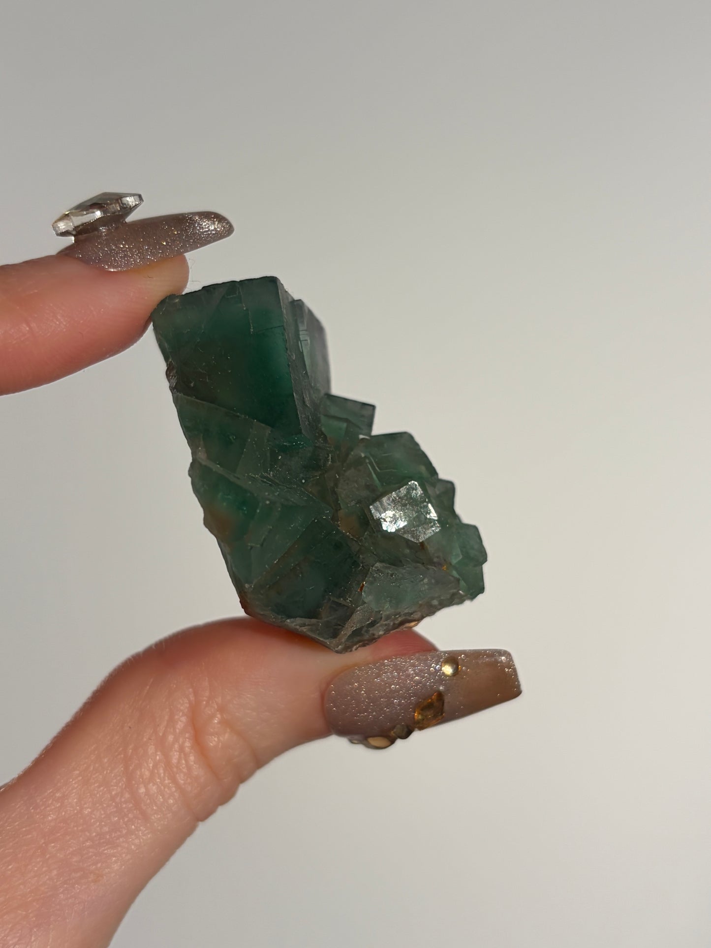 Halo Garden Fluorite Specimen H