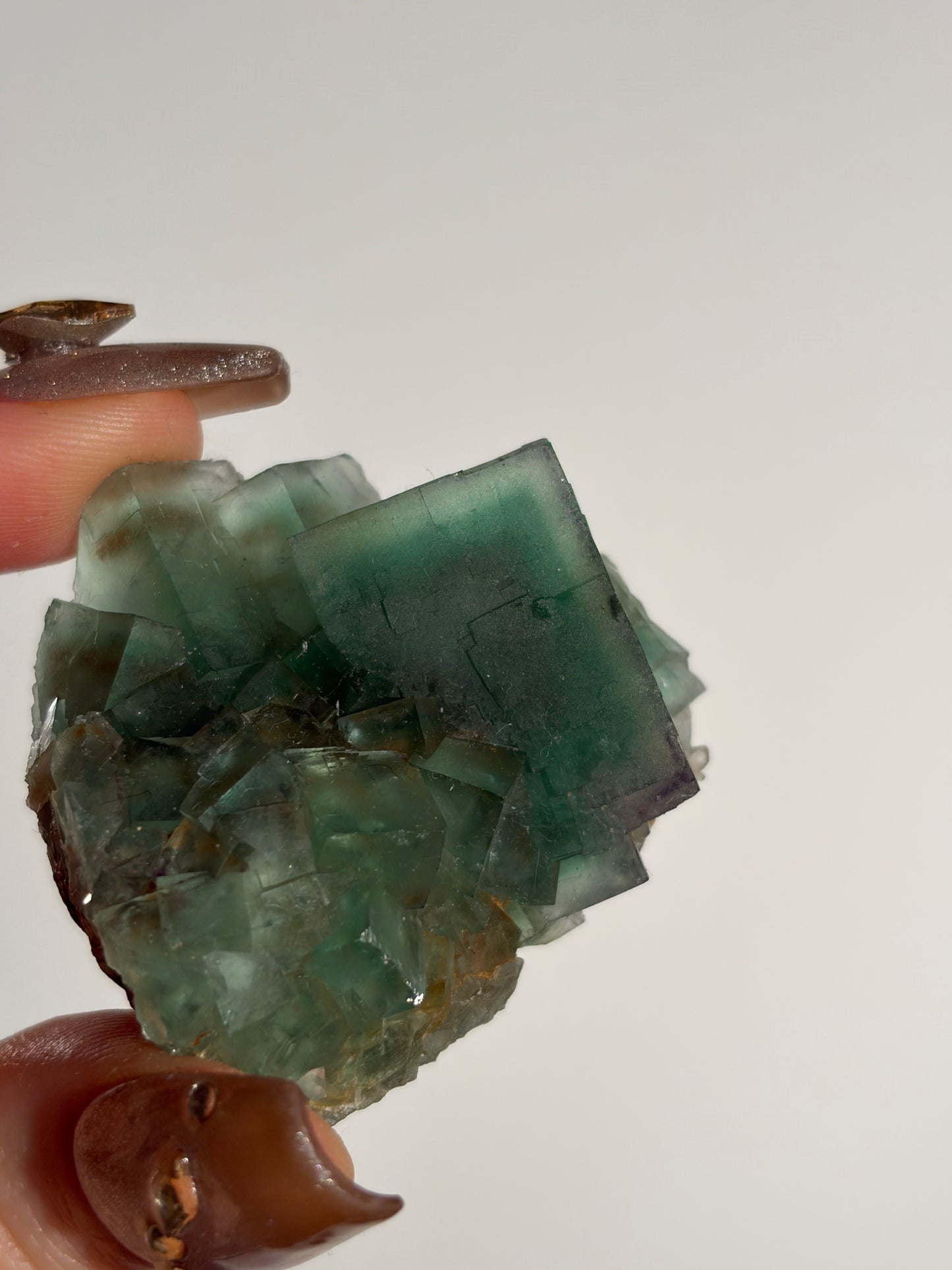Halo Garden Fluorite Specimen H