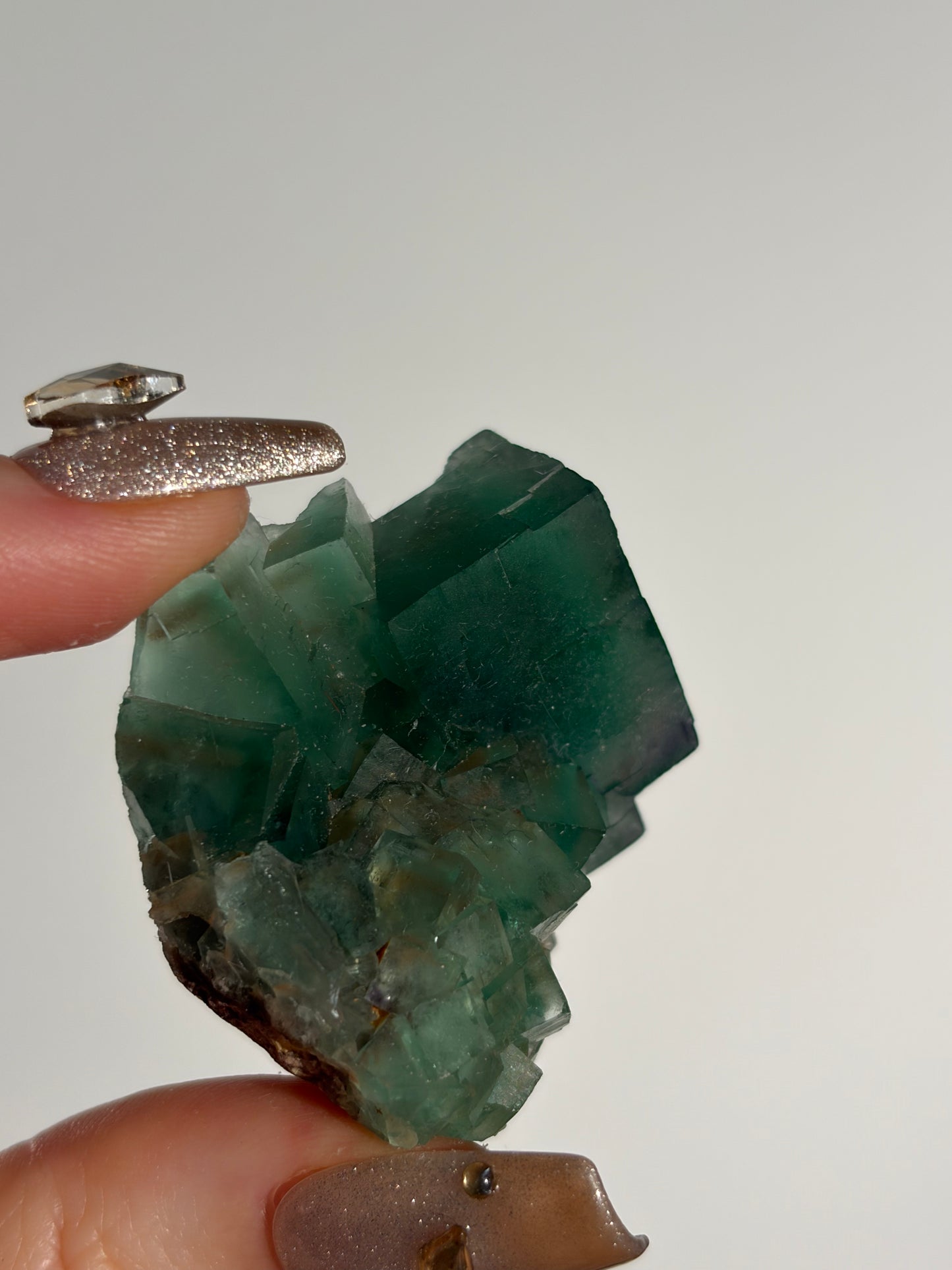 Halo Garden Fluorite Specimen H
