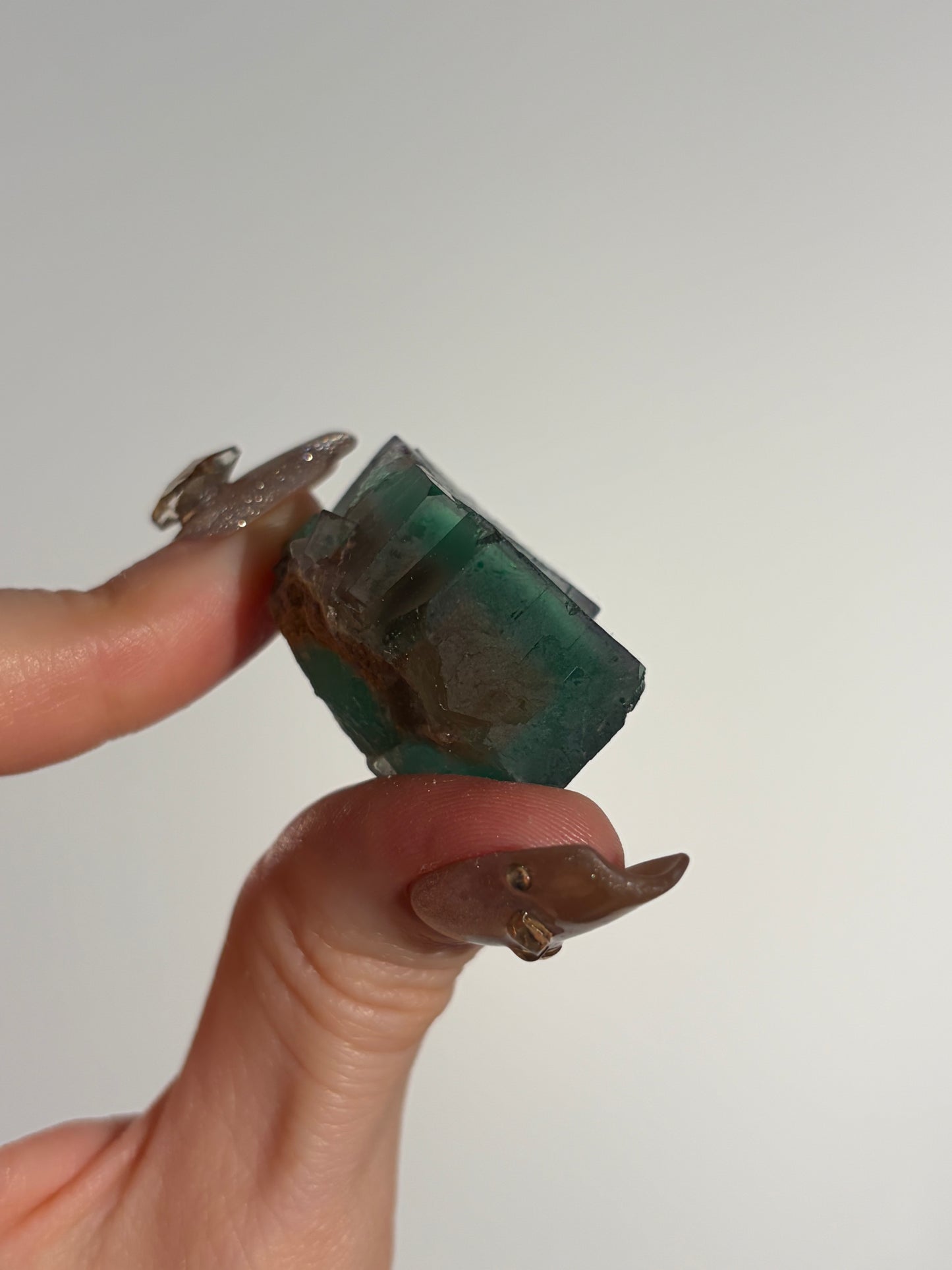 Halo Garden Fluorite Specimen I