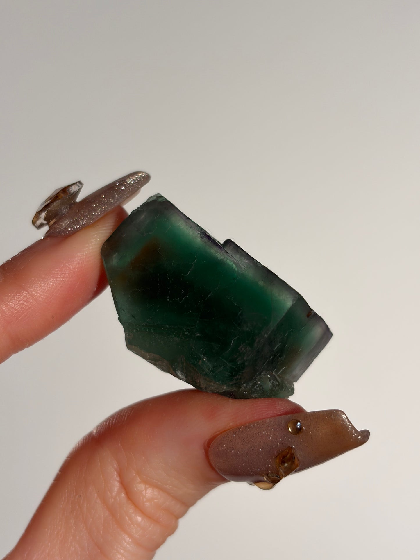 Halo Garden Fluorite Specimen I