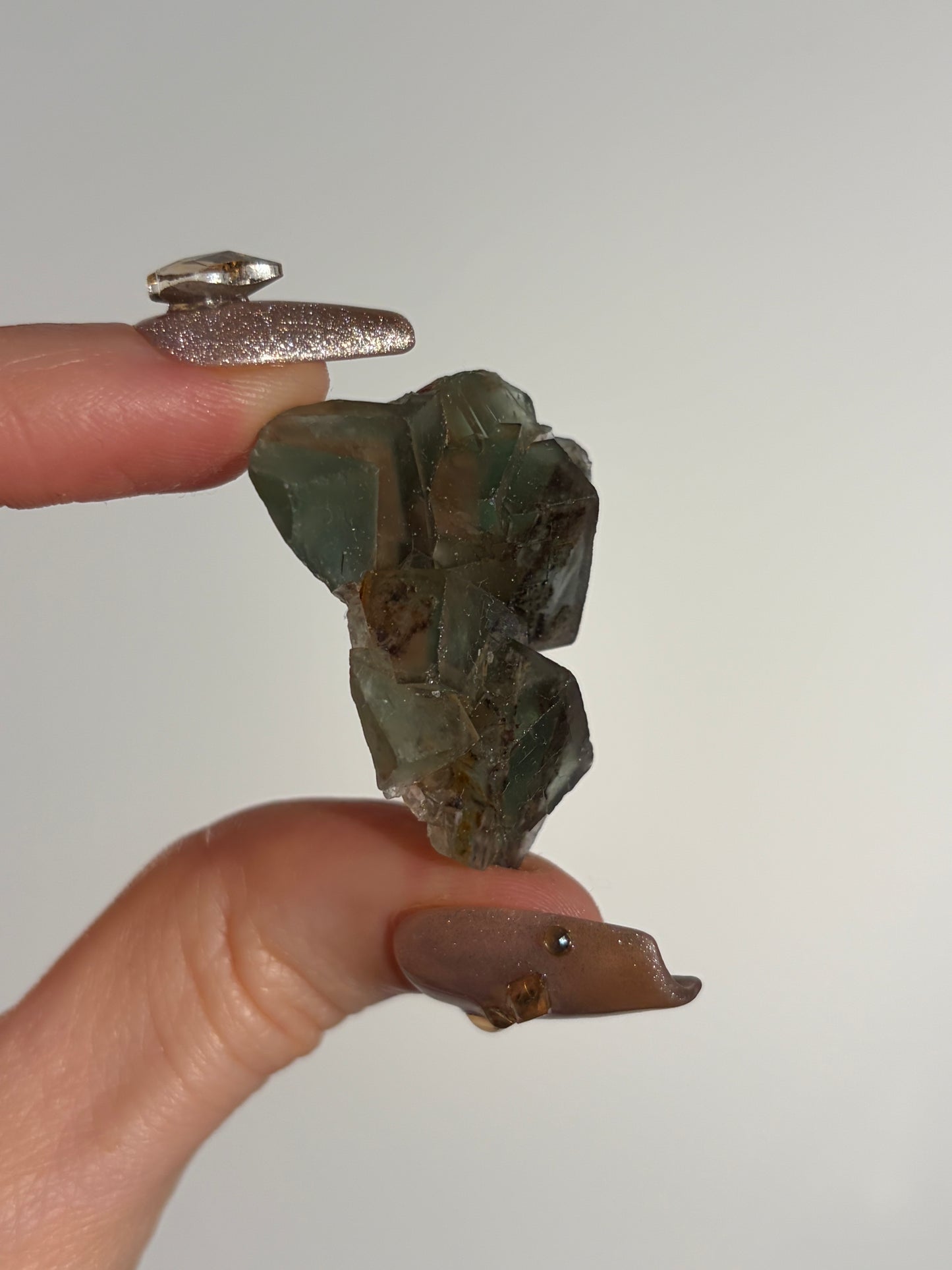 Halo Garden Fluorite Specimen J
