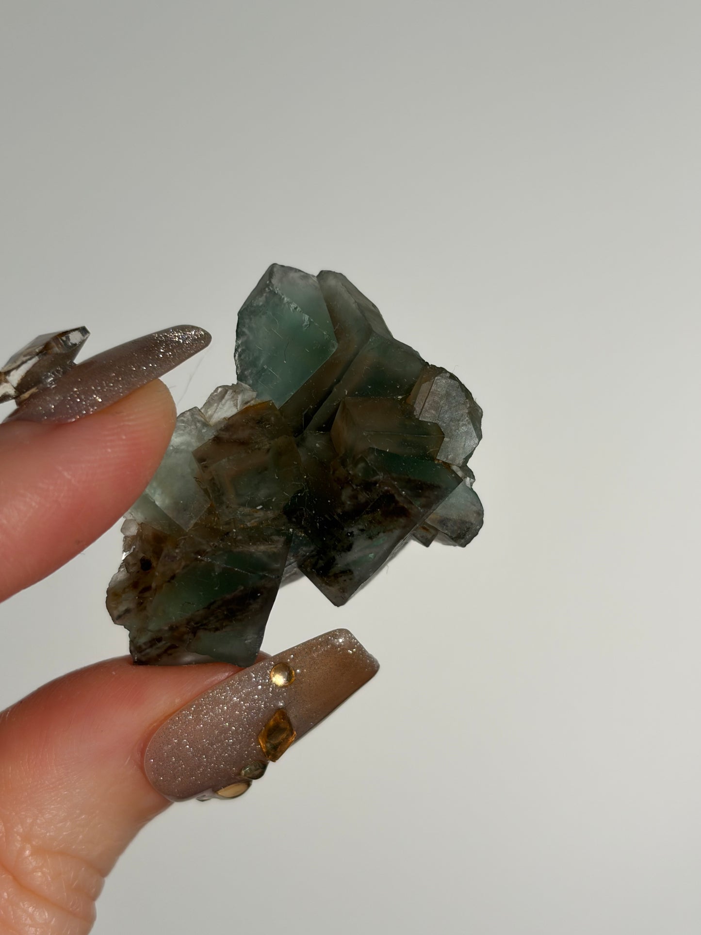 Halo Garden Fluorite Specimen J