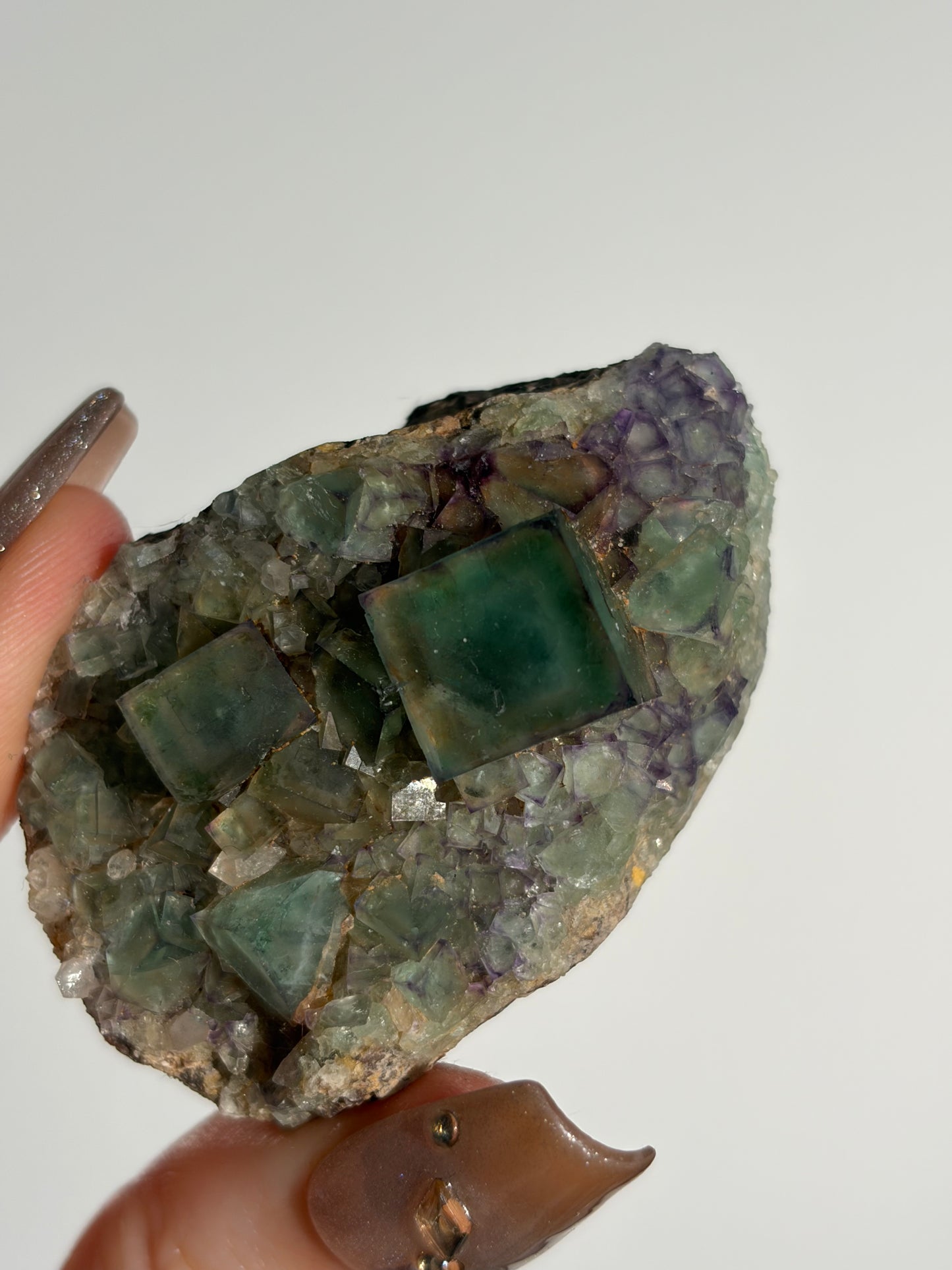 Halo Garden Fluorite Specimen K