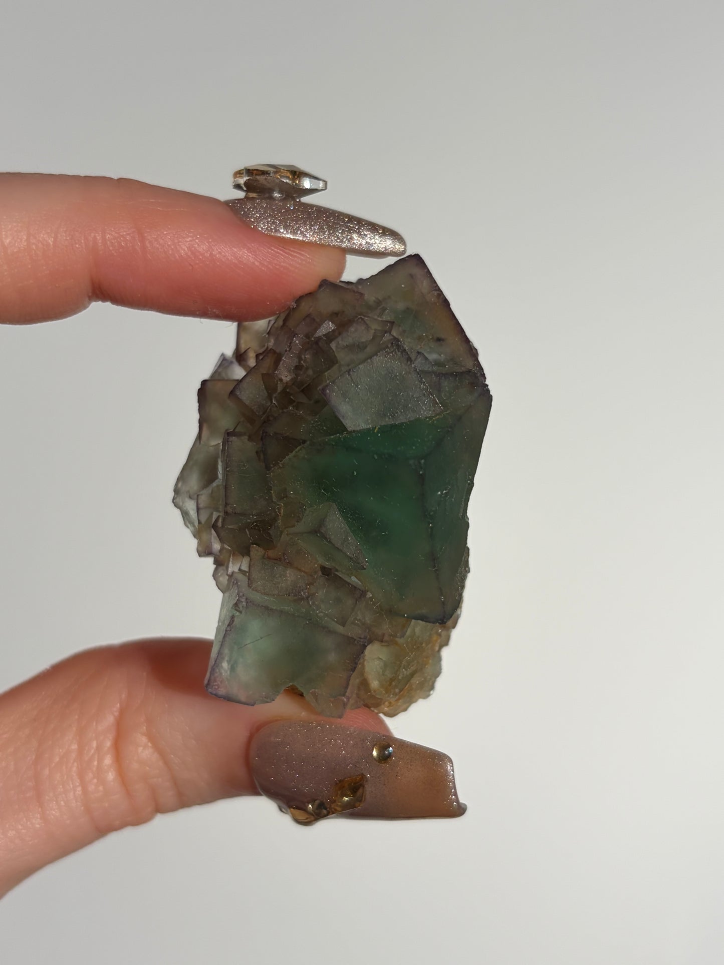 Halo Garden Fluorite Specimen L