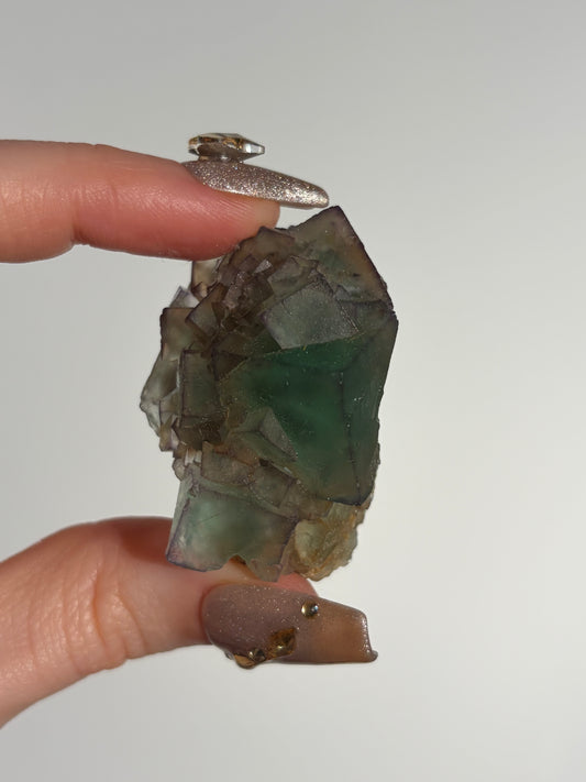 Halo Garden Fluorite Specimen L