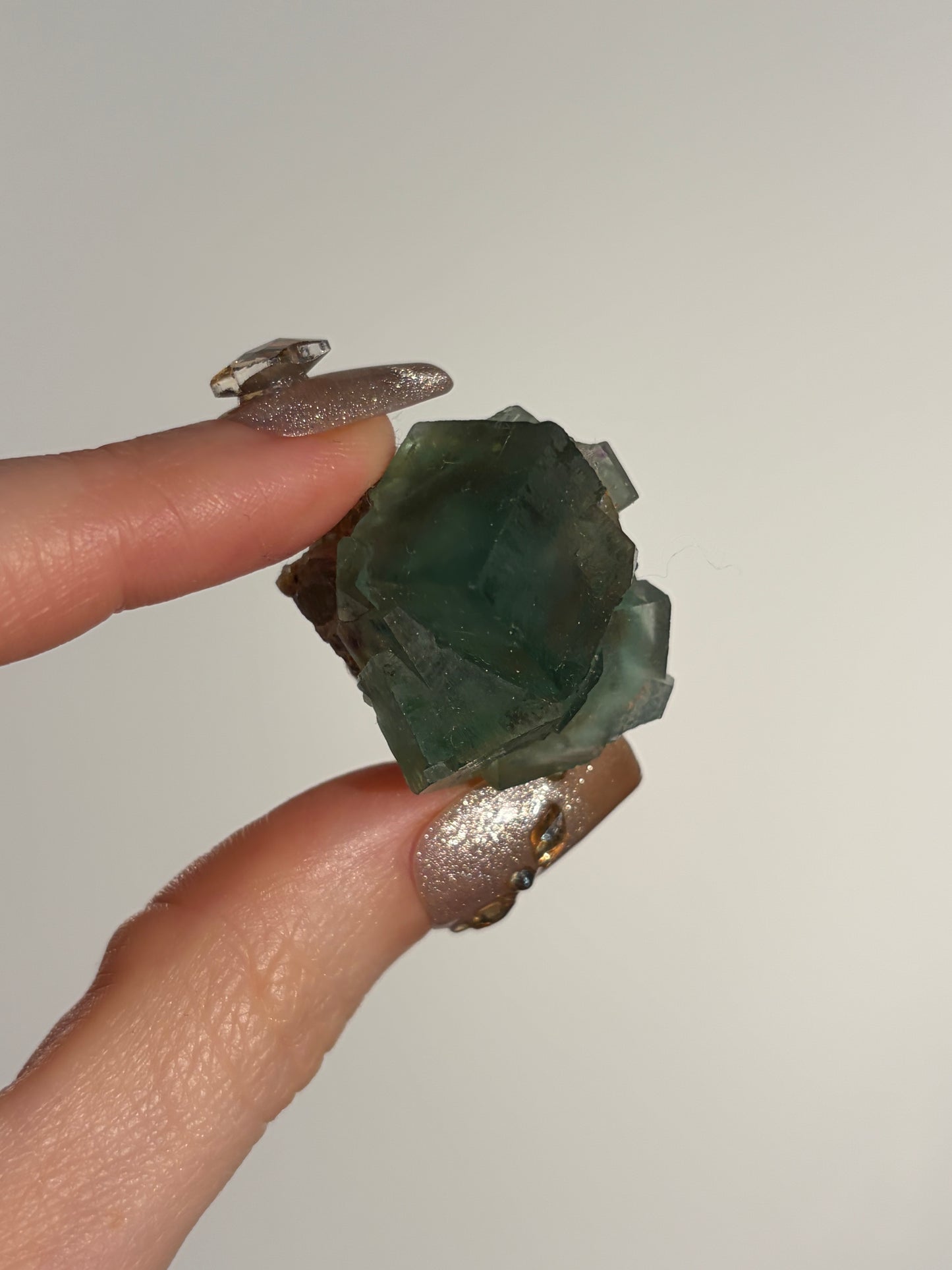 Halo Garden Fluorite Specimen M