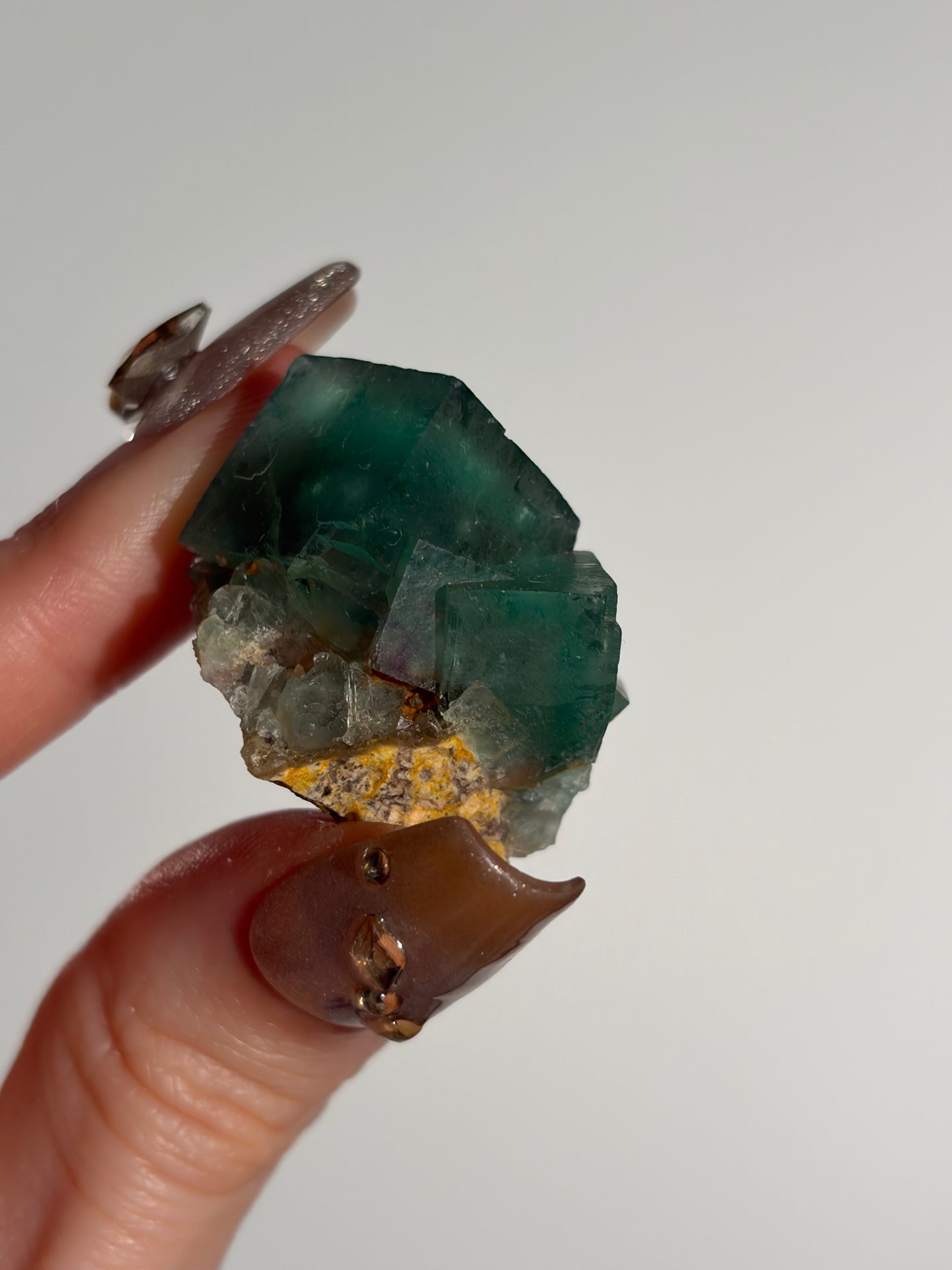 Halo Garden Fluorite Specimen M