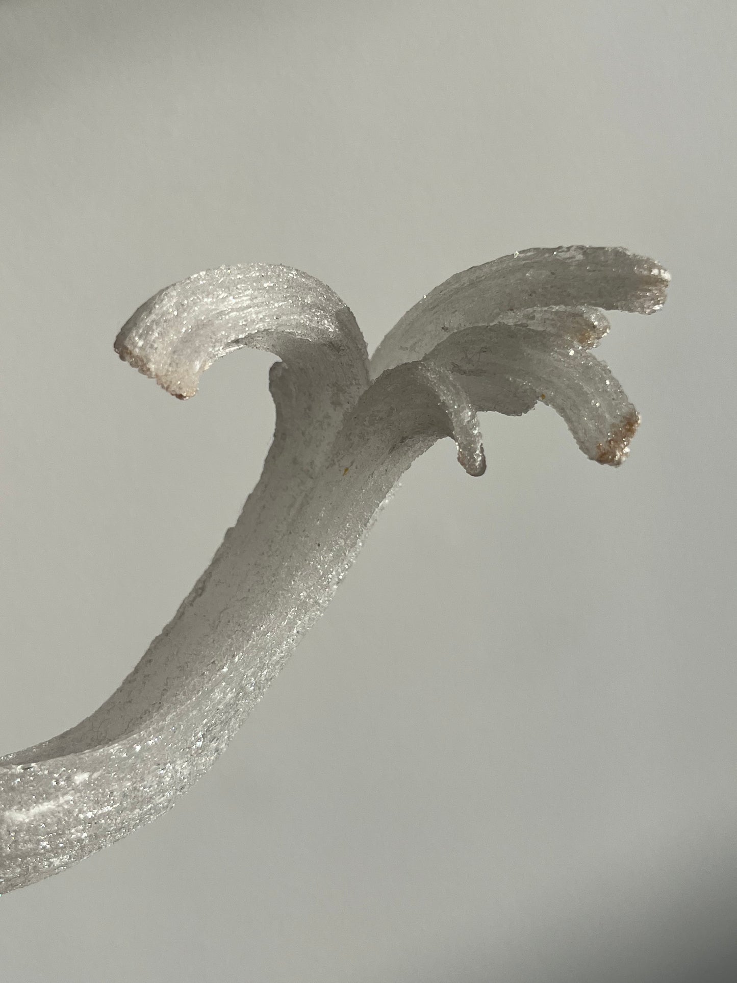 Selenite Horn Specimen A