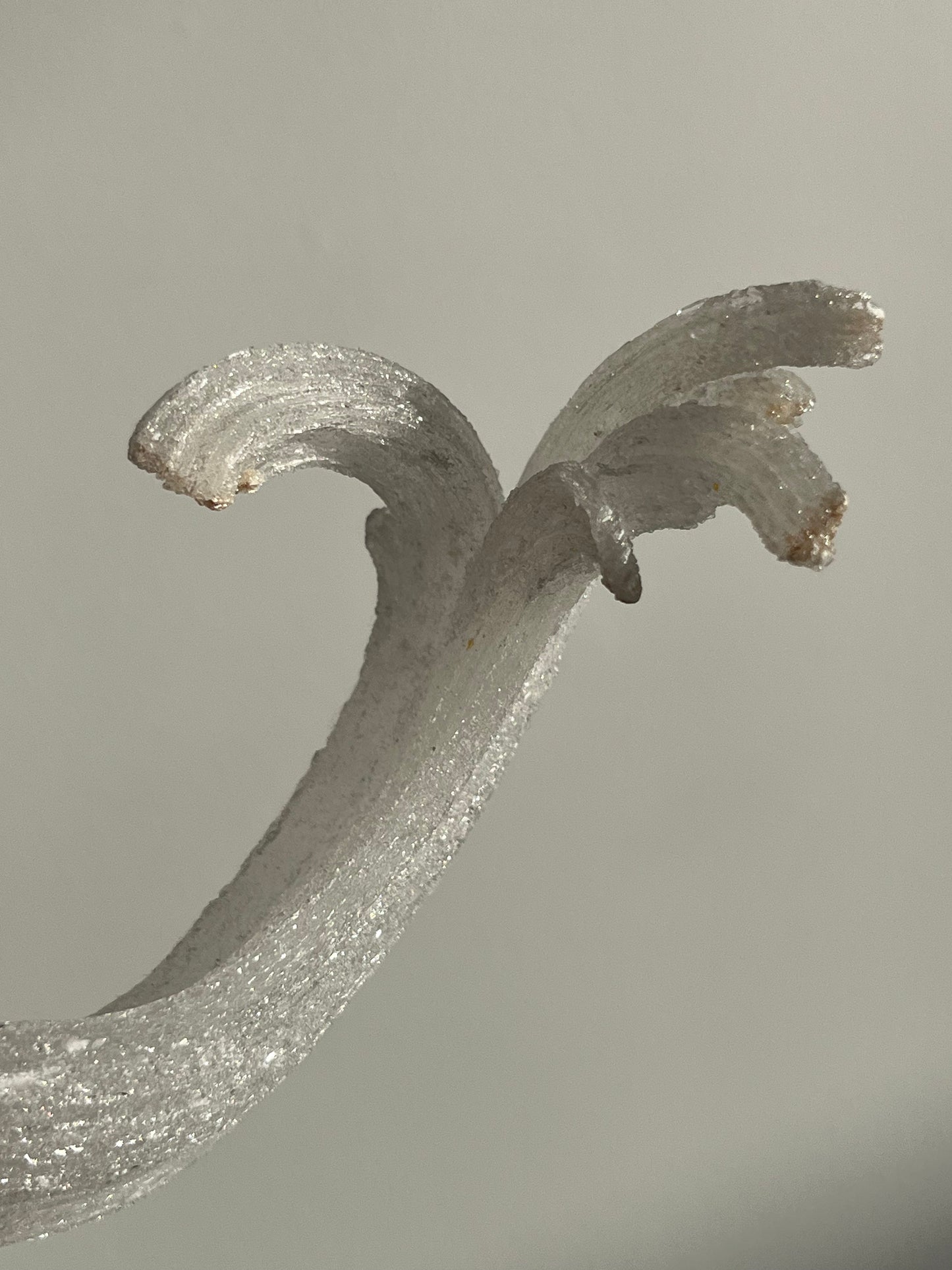 Selenite Horn Specimen A