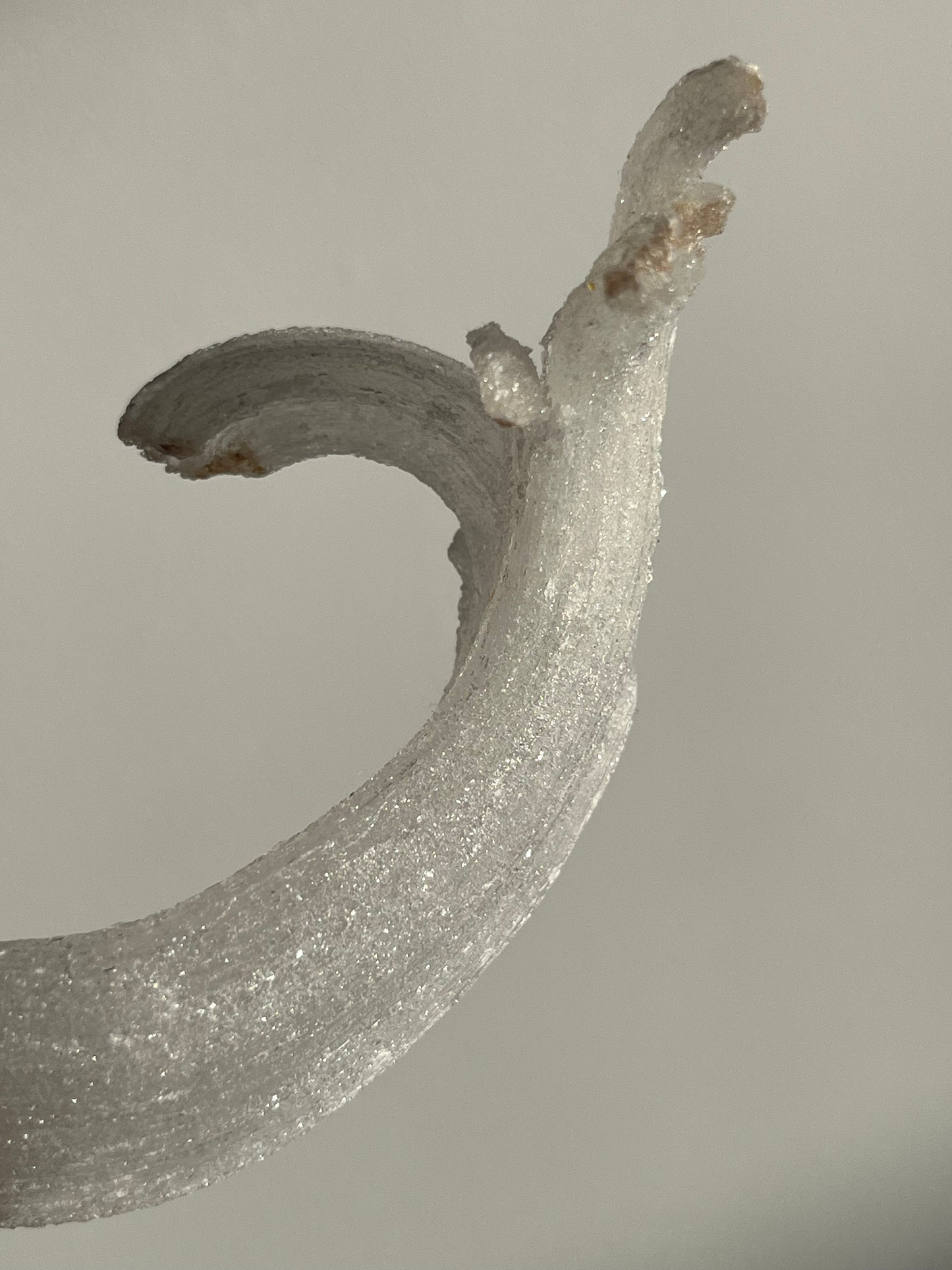 Selenite Horn Specimen A