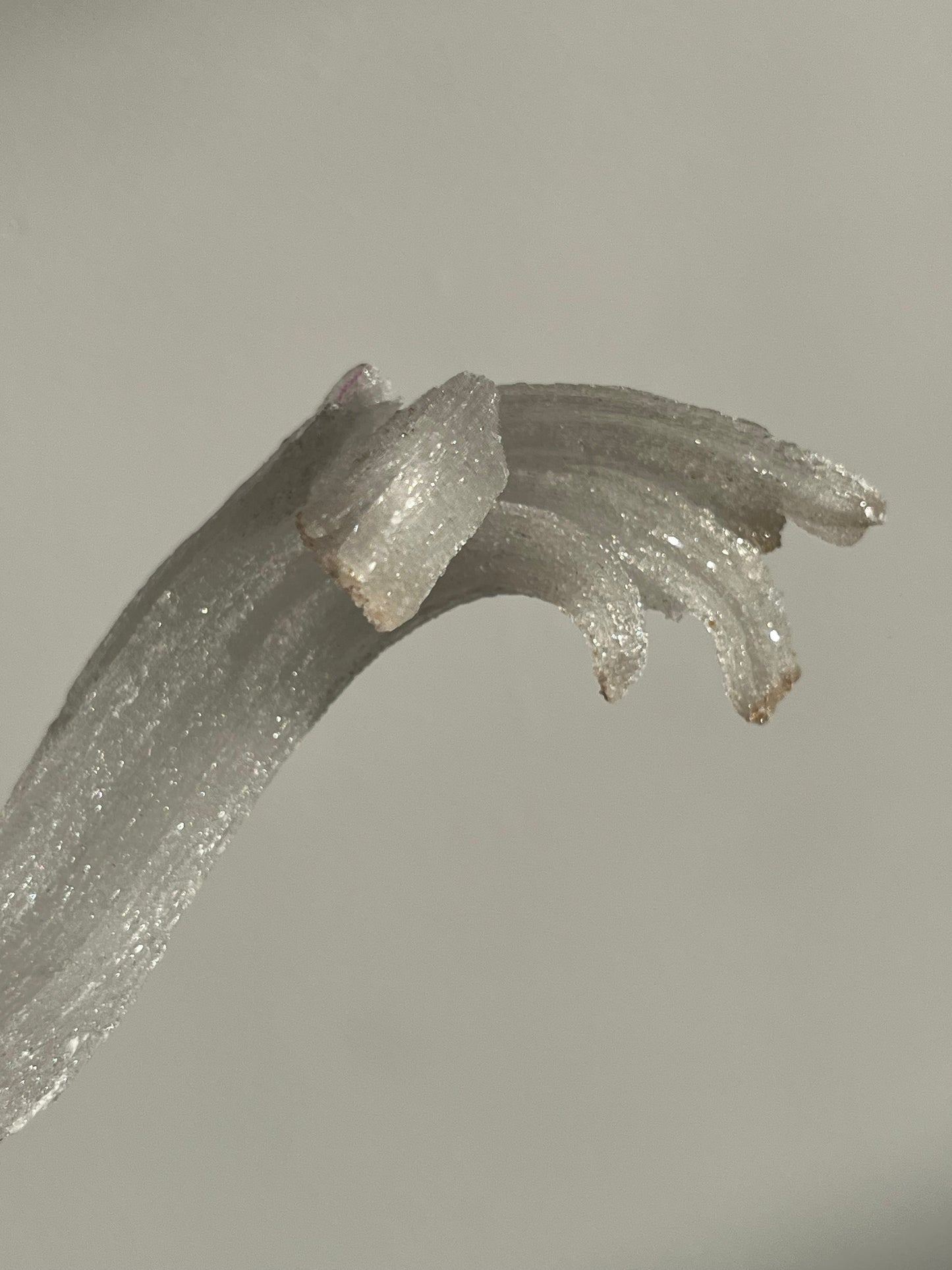 Selenite Horn Specimen A