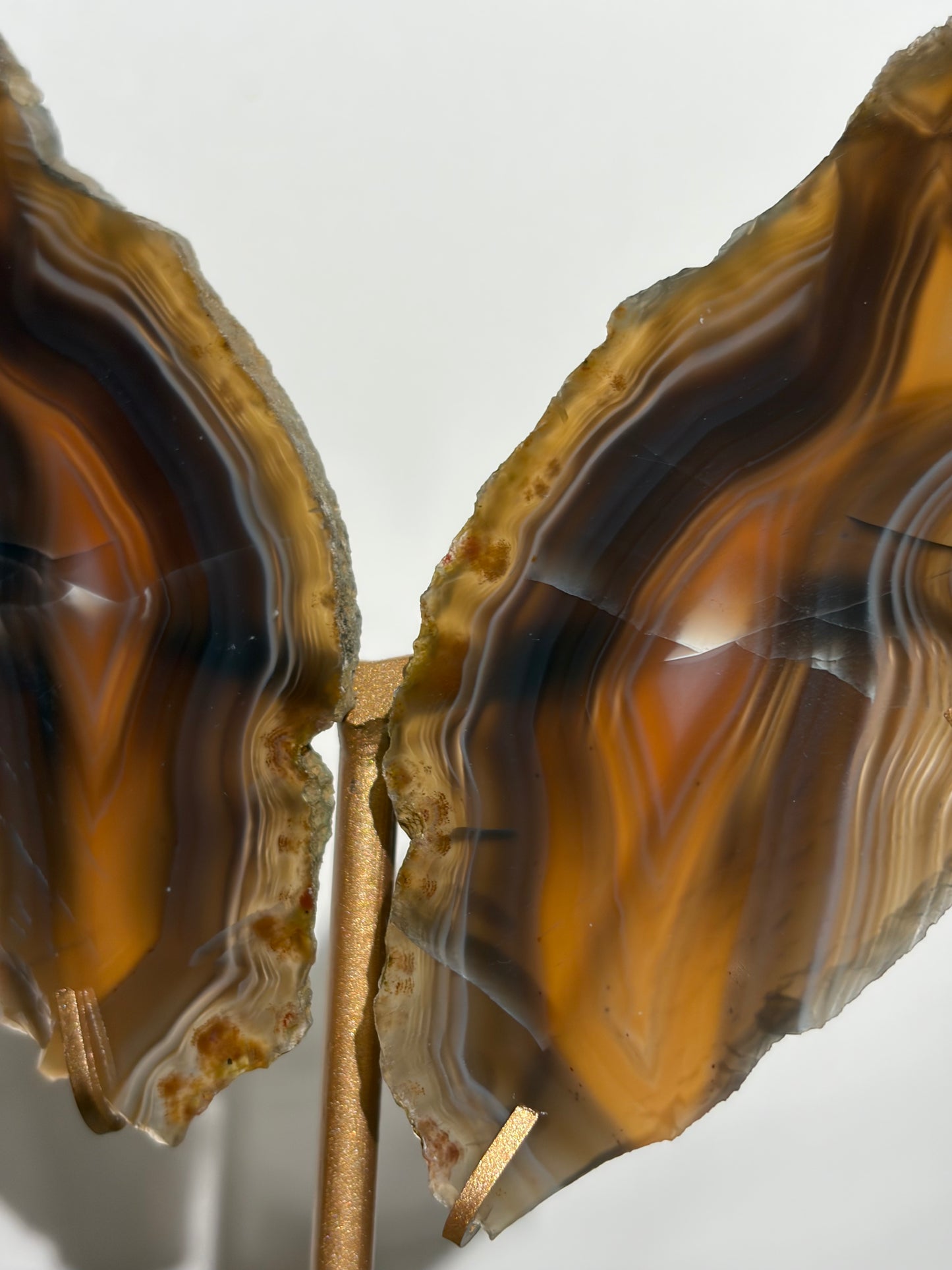"Maxima" Agate Butterfly Wings on Custom Display Stand
