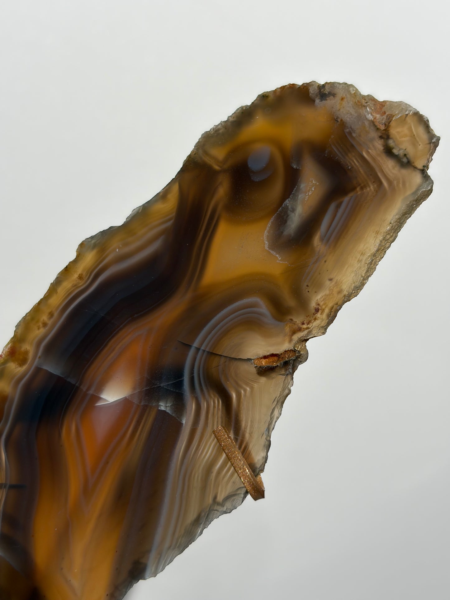 "Maxima" Agate Butterfly Wings on Custom Display Stand