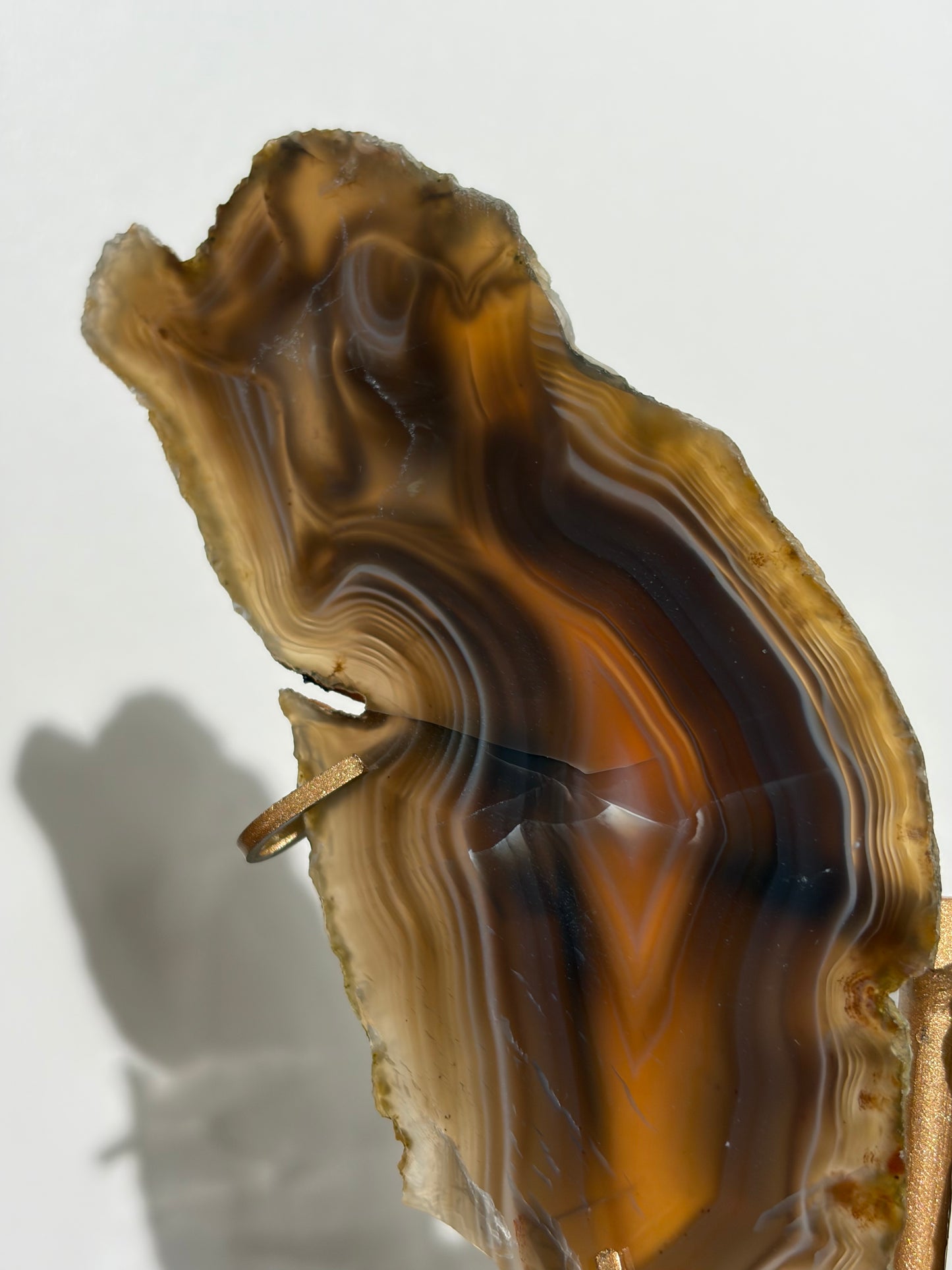 "Maxima" Agate Butterfly Wings on Custom Display Stand
