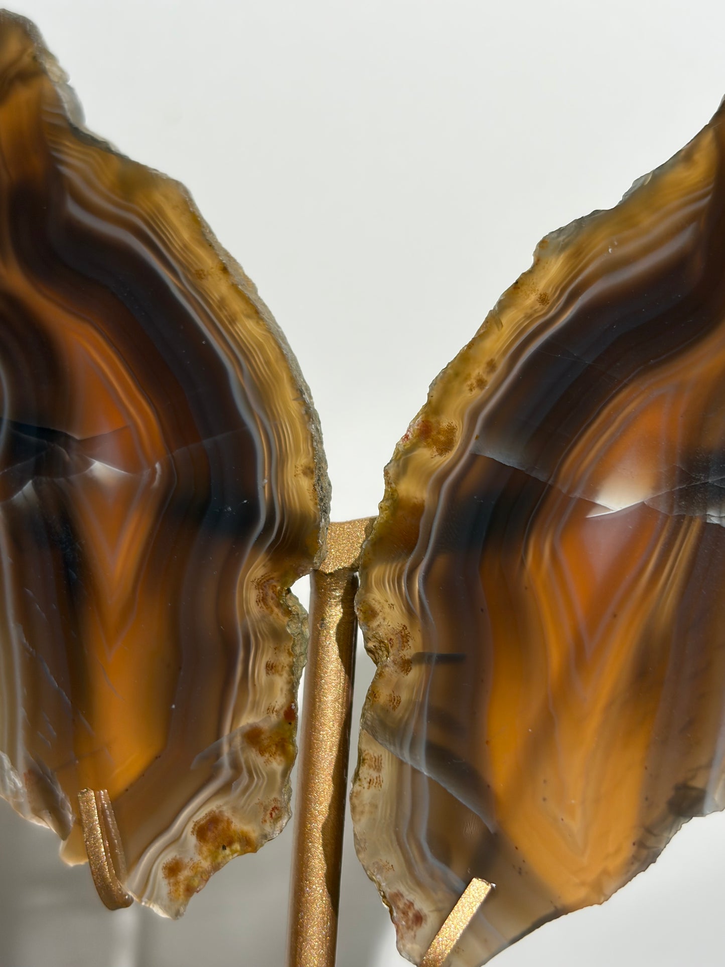 "Maxima" Agate Butterfly Wings on Custom Display Stand