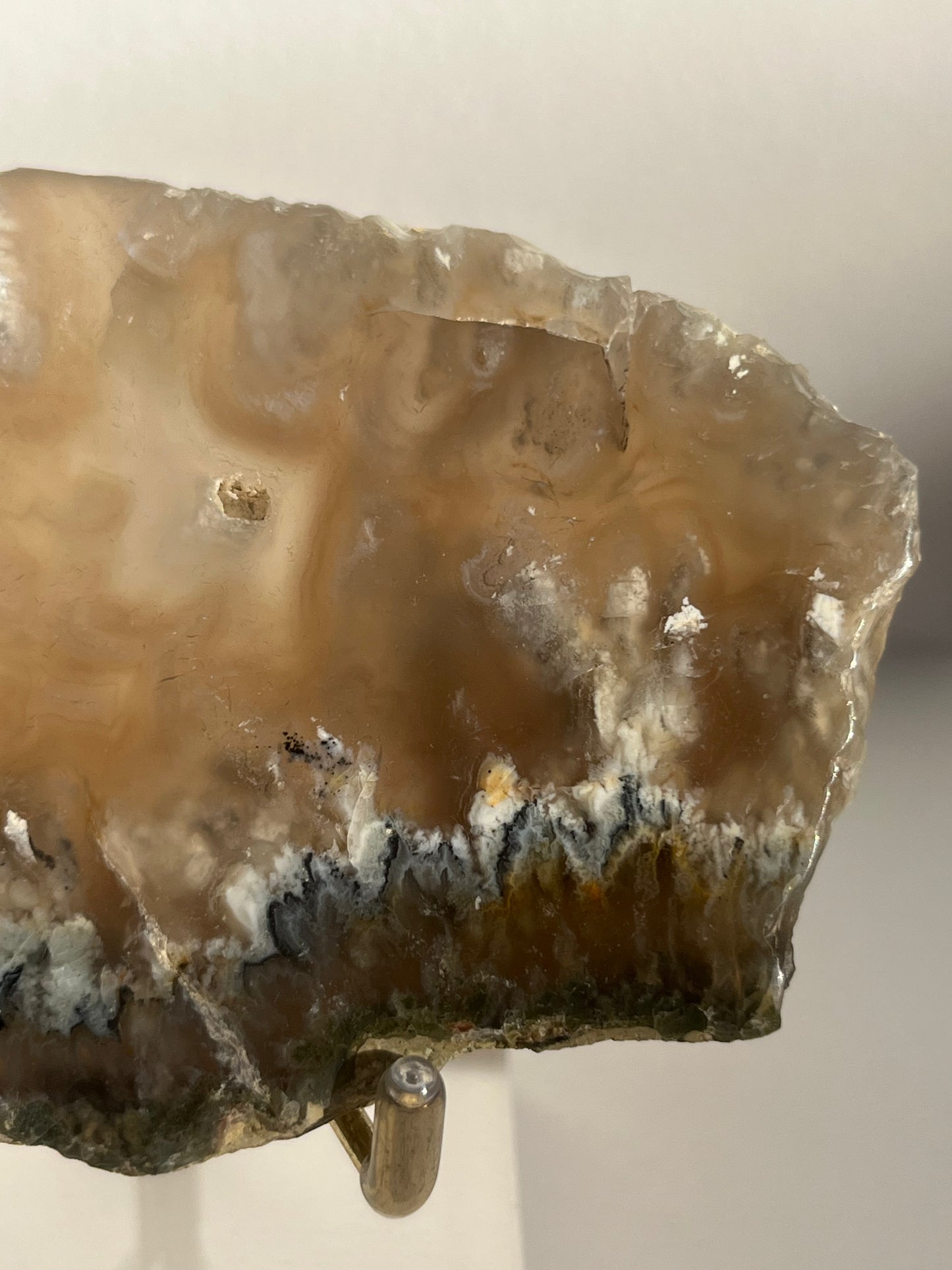 Flower Agate Slab with Dendritic & Green Moss Inclusions on Stand A