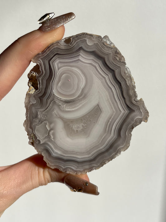 "Cyclops: The New Era" Laguna Agate with Parallax Effect
