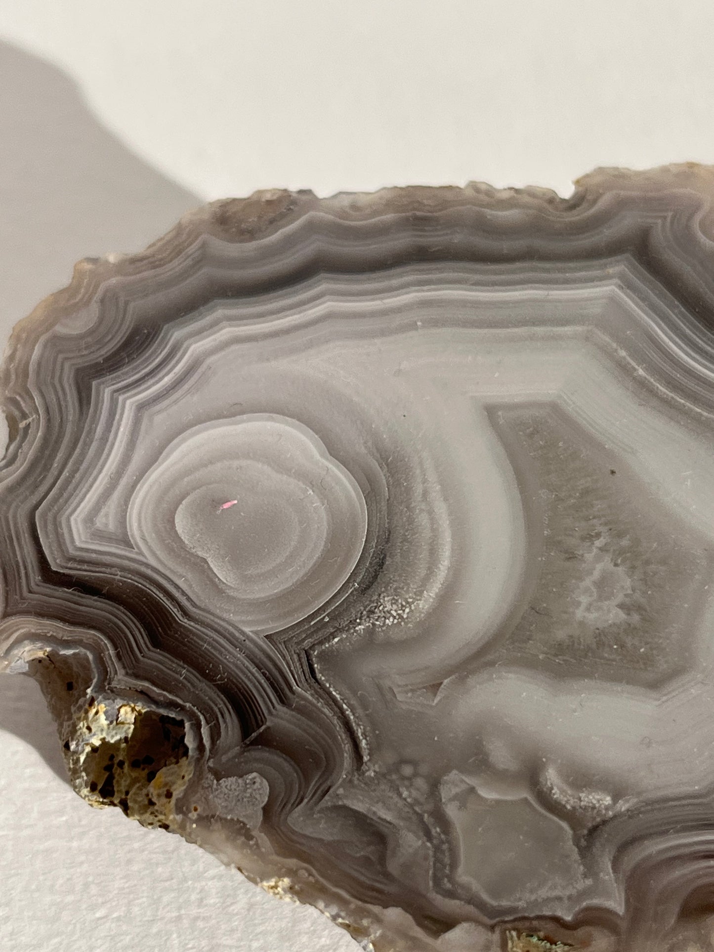 "Cyclops: The New Era" Laguna Agate with Parallax Effect