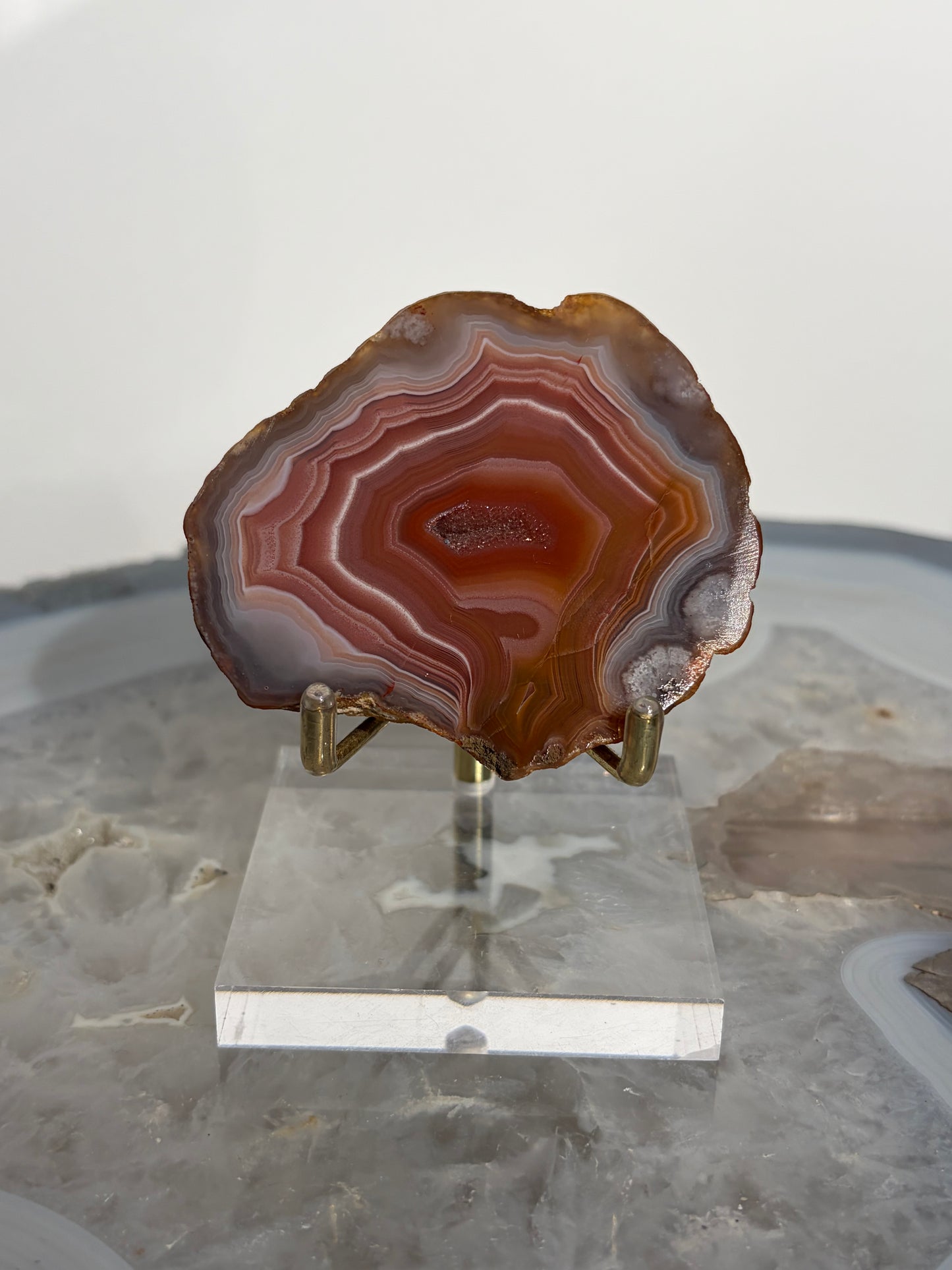 "Salmon River" Red Laguna Agate Specimen with Sagenite Inclusions and Parallax Effect