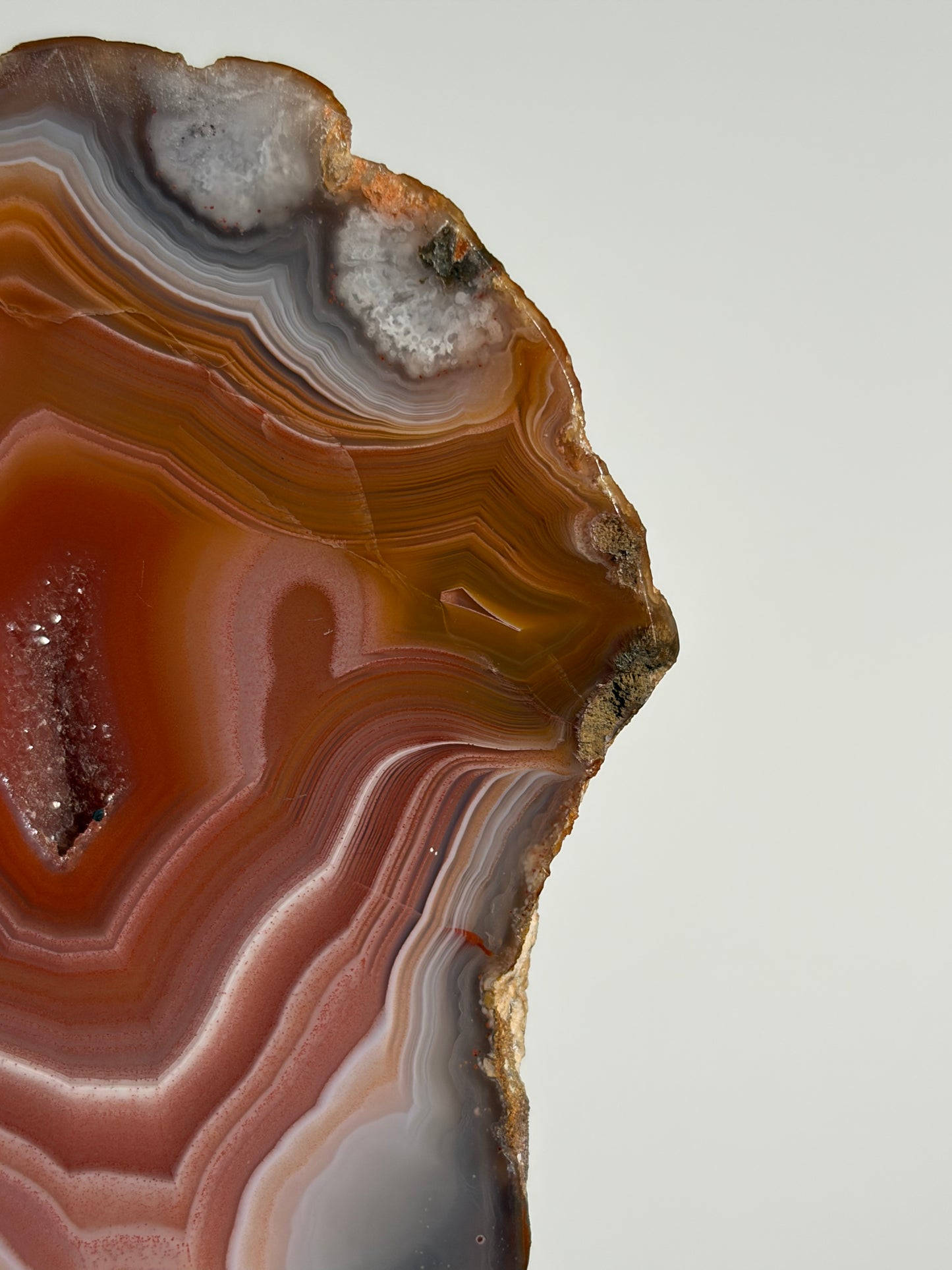 "Salmon River" Red Laguna Agate Specimen with Sagenite Inclusions and Parallax Effect