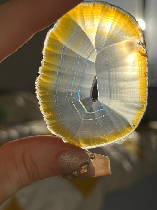 ‘Aludra’ Laguna Iris Agate Slice