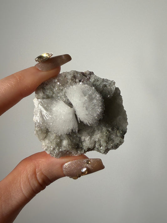 “Icy Bouquets” Bowtie Natrolite Specimen B