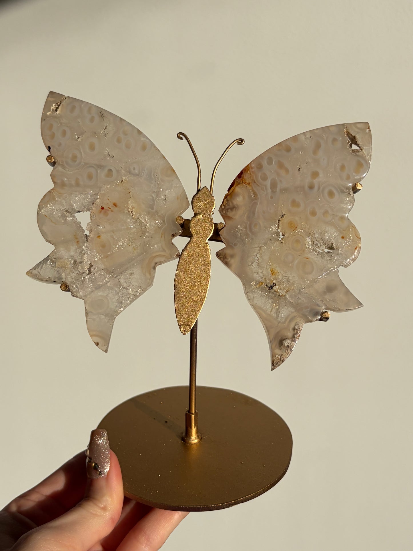 Jelly Orbicular Nebula Agate with Natural Carnelian Butterfly Wings on Stand (Repaired)