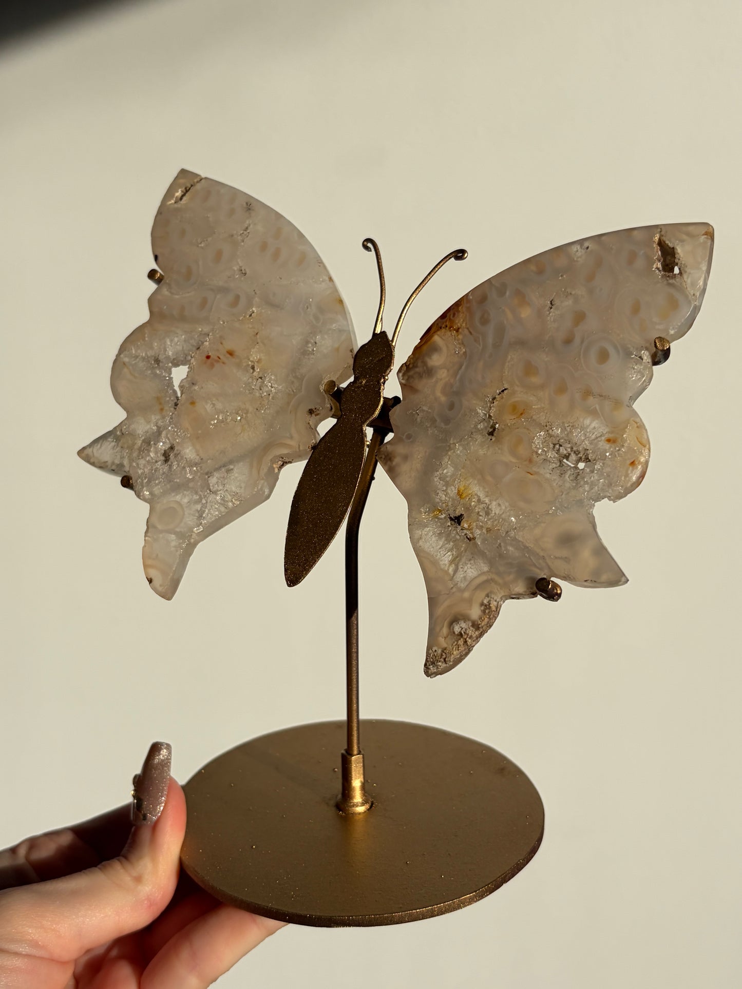 Jelly Orbicular Nebula Agate with Natural Carnelian Butterfly Wings on Stand (Repaired)