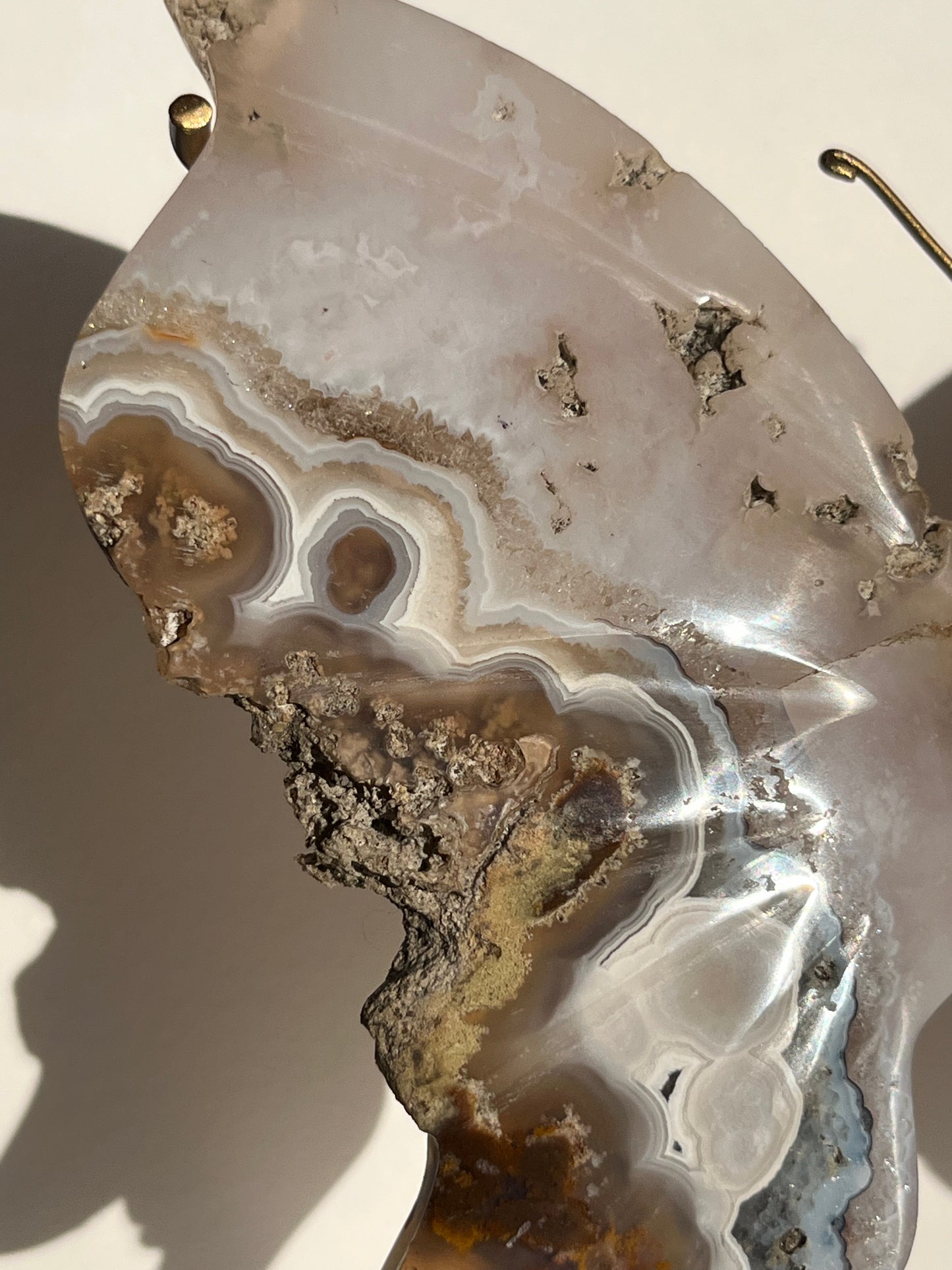 Nebula Agate with Dendritic Inclusions Butterfly on Stand