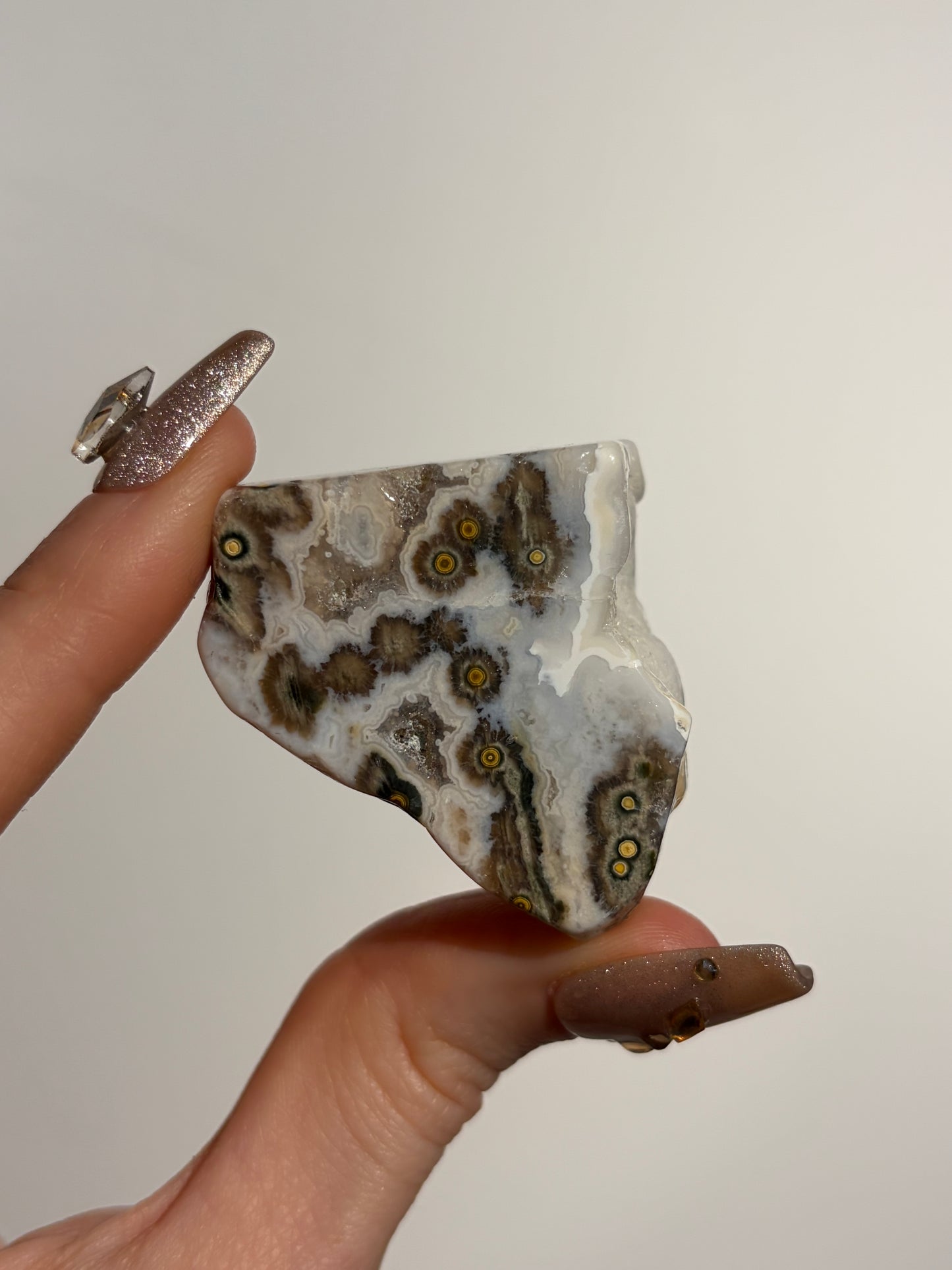 Druzy Orbicular Jasper Miniature Freeform D