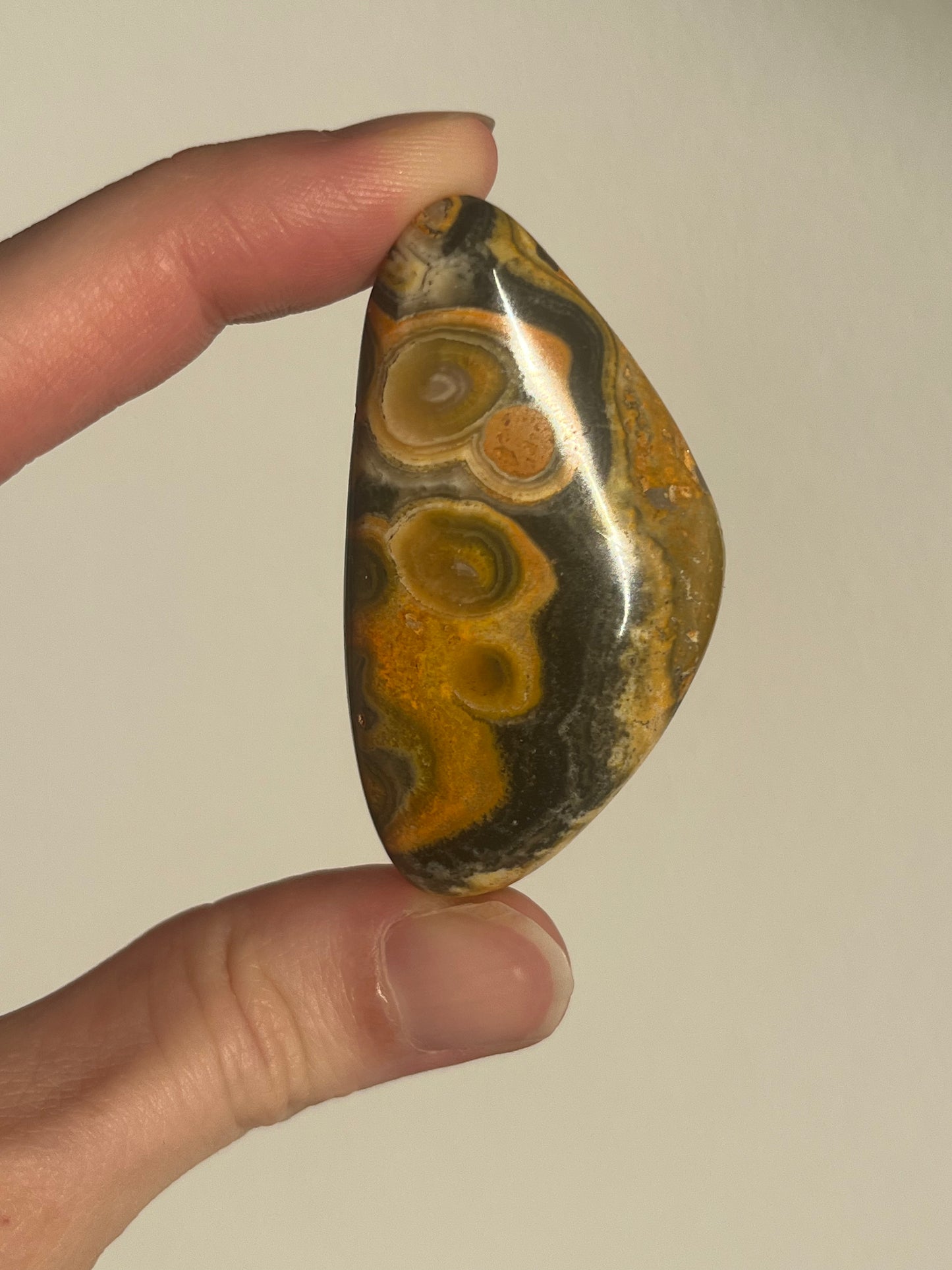 'Contour' Old Stock Orbicular Bumblebee Jasper Palmstone (mined 2016)