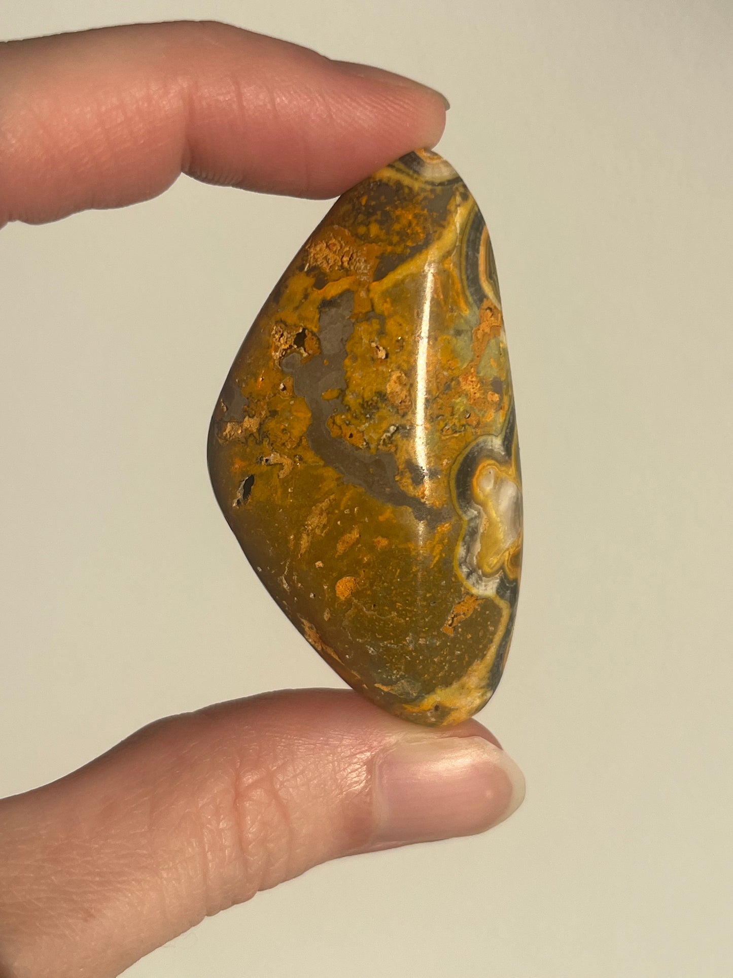 'Contour' Old Stock Orbicular Bumblebee Jasper Palmstone (mined 2016)