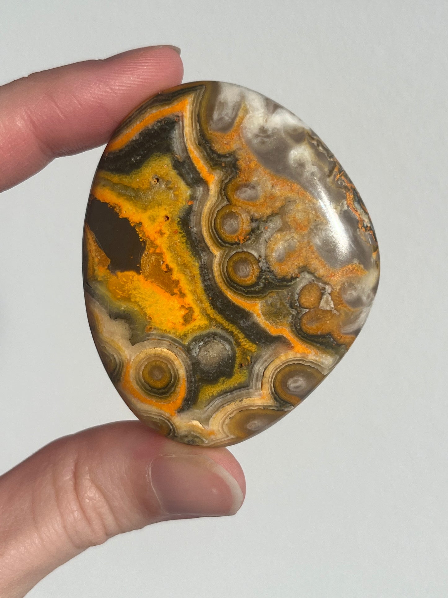 'Talisman' Old Stock Orbicular Bumblebee Jasper Palmstone (mined 2016)