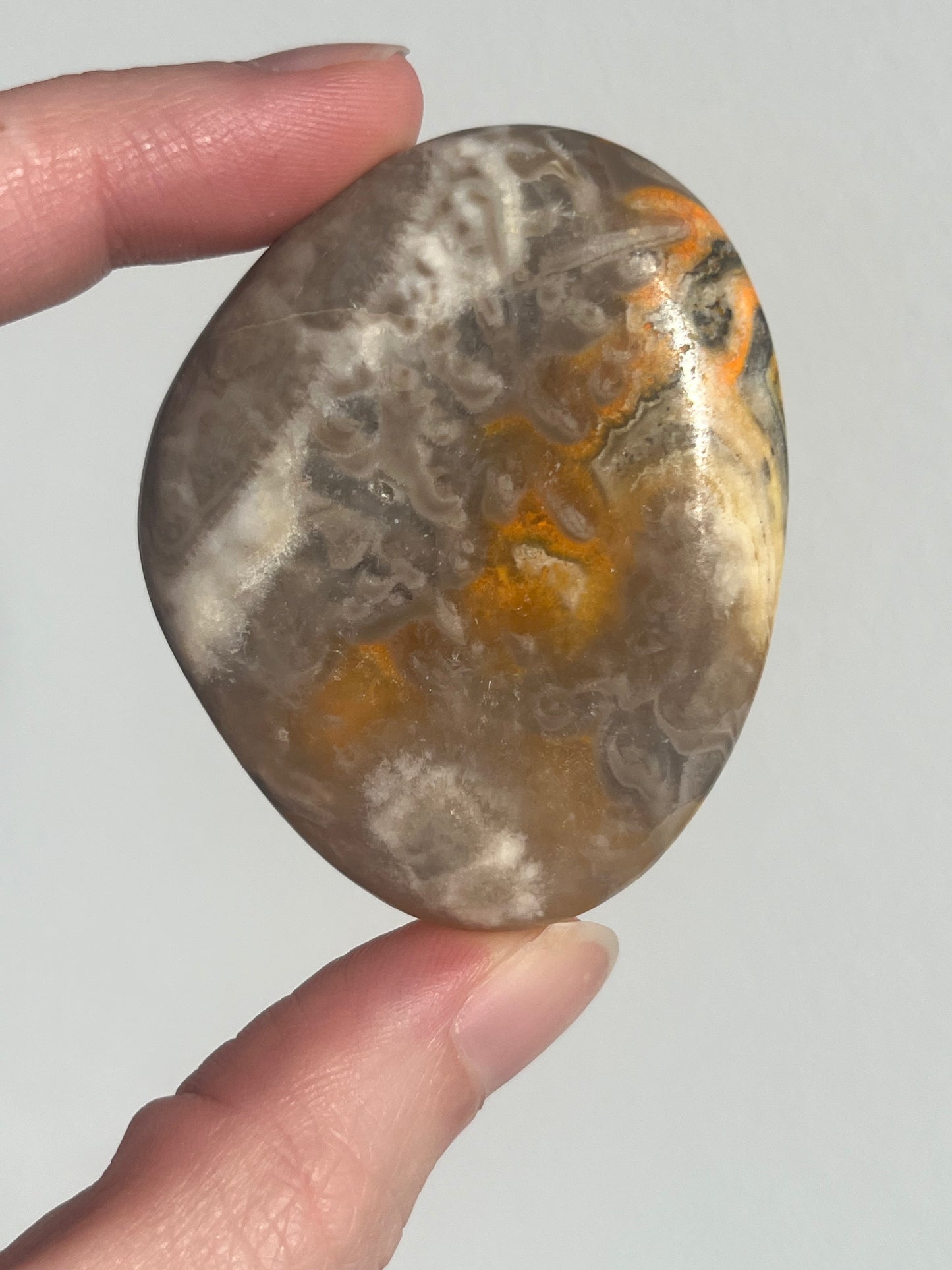 'Talisman' Old Stock Orbicular Bumblebee Jasper Palmstone (mined 2016)