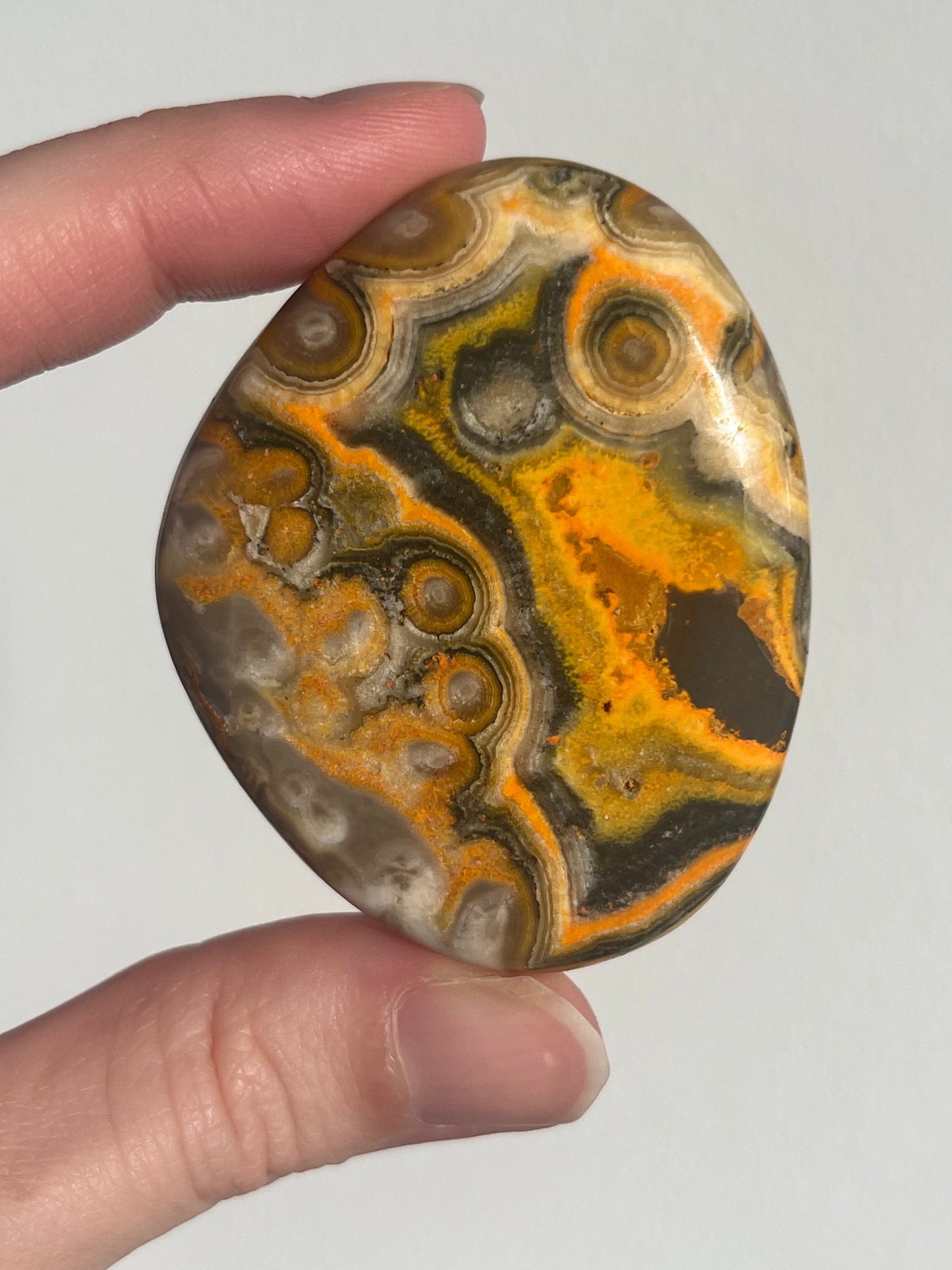 'Talisman' Old Stock Orbicular Bumblebee Jasper Palmstone (mined 2016)