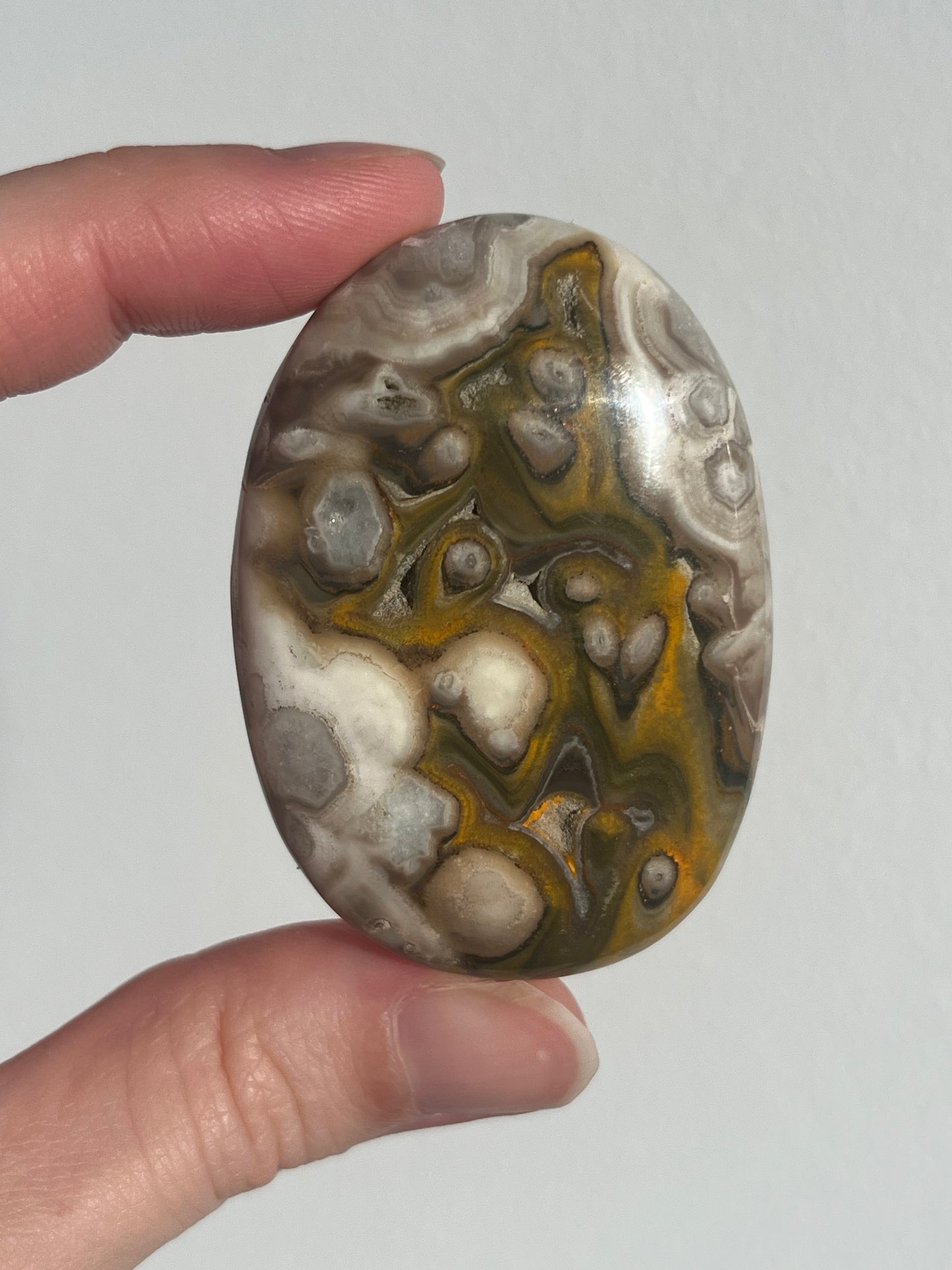 'Plume' Old Stock Orbicular Bumblebee Jasper Palmstone (mined 2016)