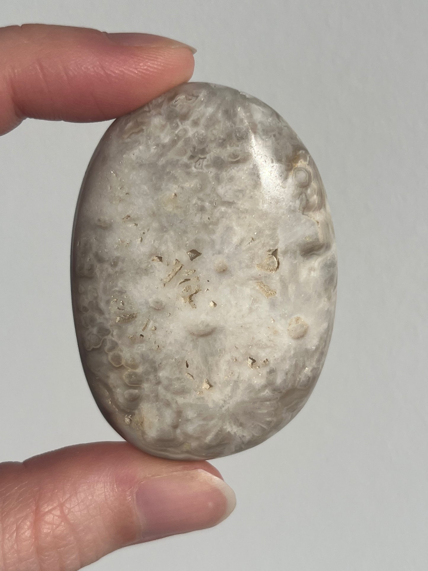 'Plume' Old Stock Orbicular Bumblebee Jasper Palmstone (mined 2016)