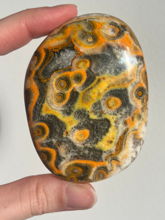 'Nusantara' Old Stock Orbicular Bumblebee Jasper Palmstone (mined 2016)