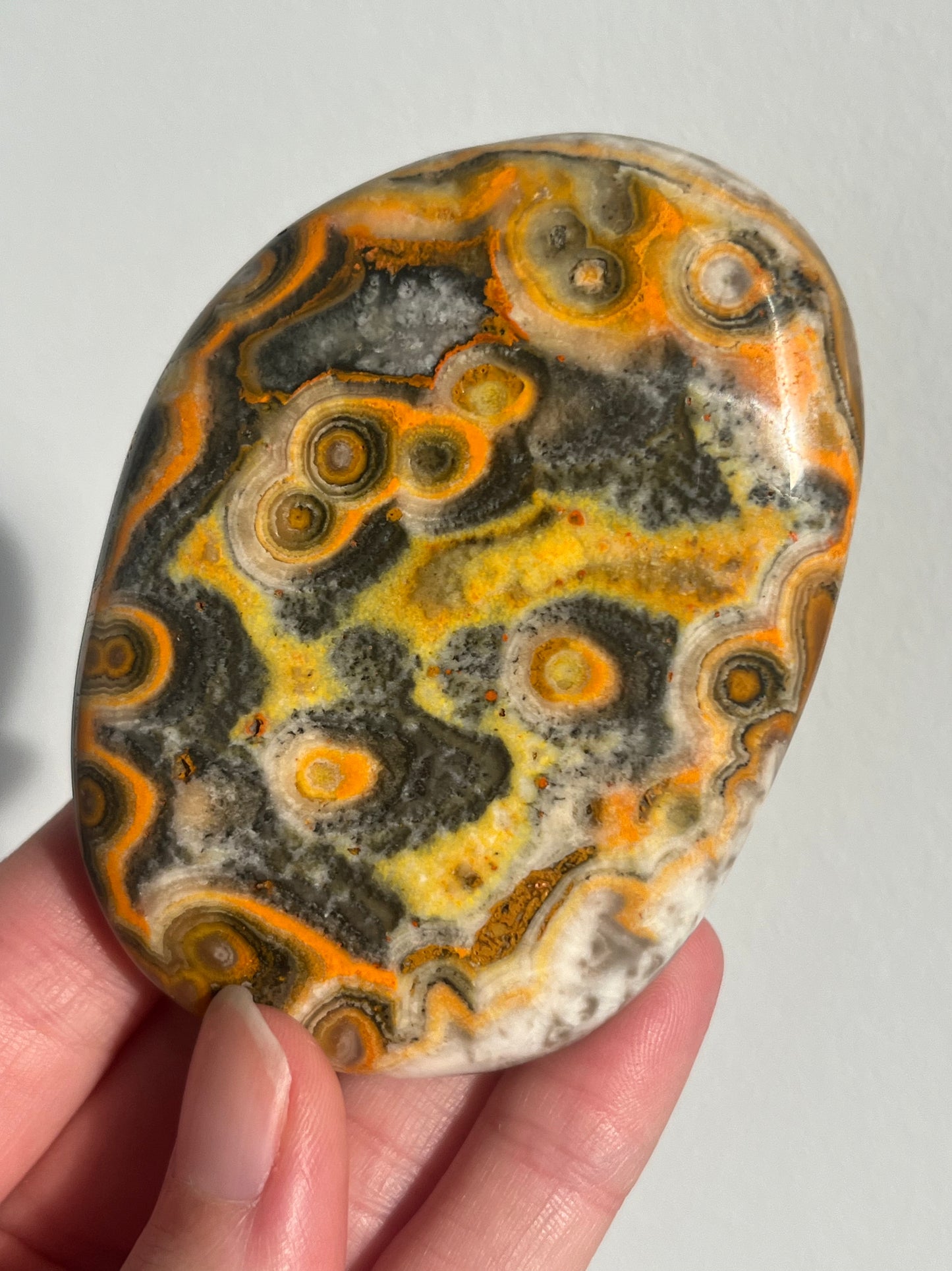 'Nusantara' Old Stock Orbicular Bumblebee Jasper Palmstone (mined 2016)