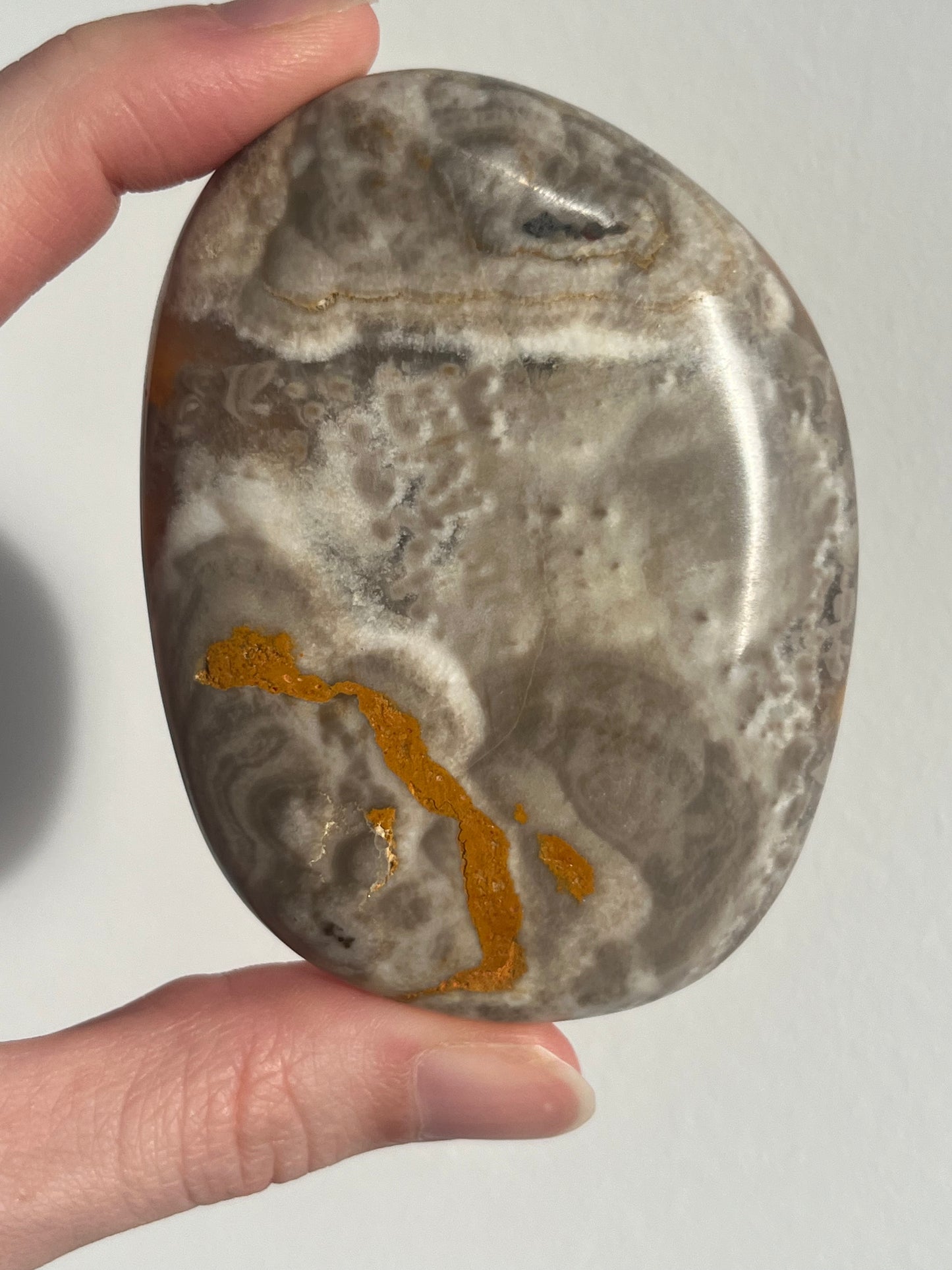 'Nusantara' Old Stock Orbicular Bumblebee Jasper Palmstone (mined 2016)