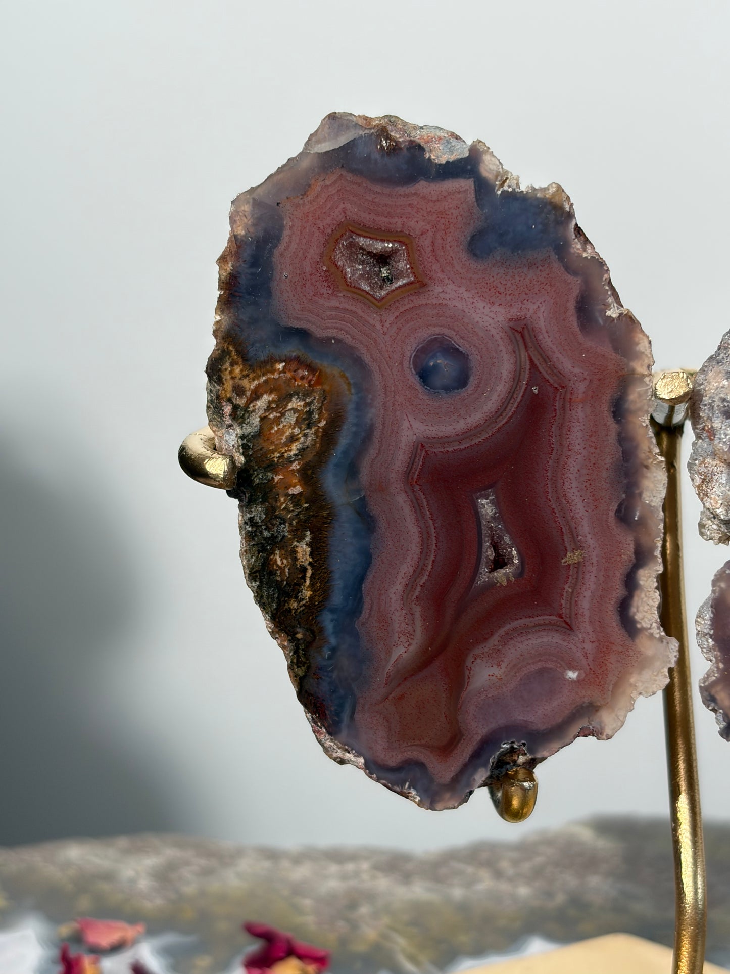 "Velour Sisters" Pink & Purple Banded Laguna Agate Pair on Custom Display Stand