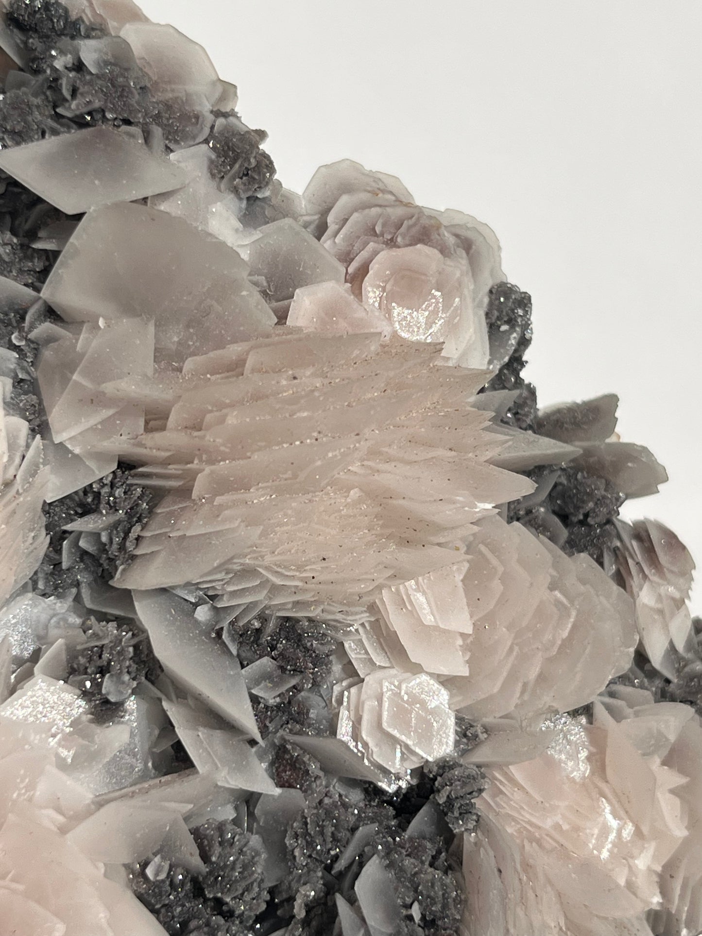 "The Queen of the Night" Pink Sakura Blossom Calcite on Quartz Coated Matrix Specimen with Custom Stand (Collector' Choice)