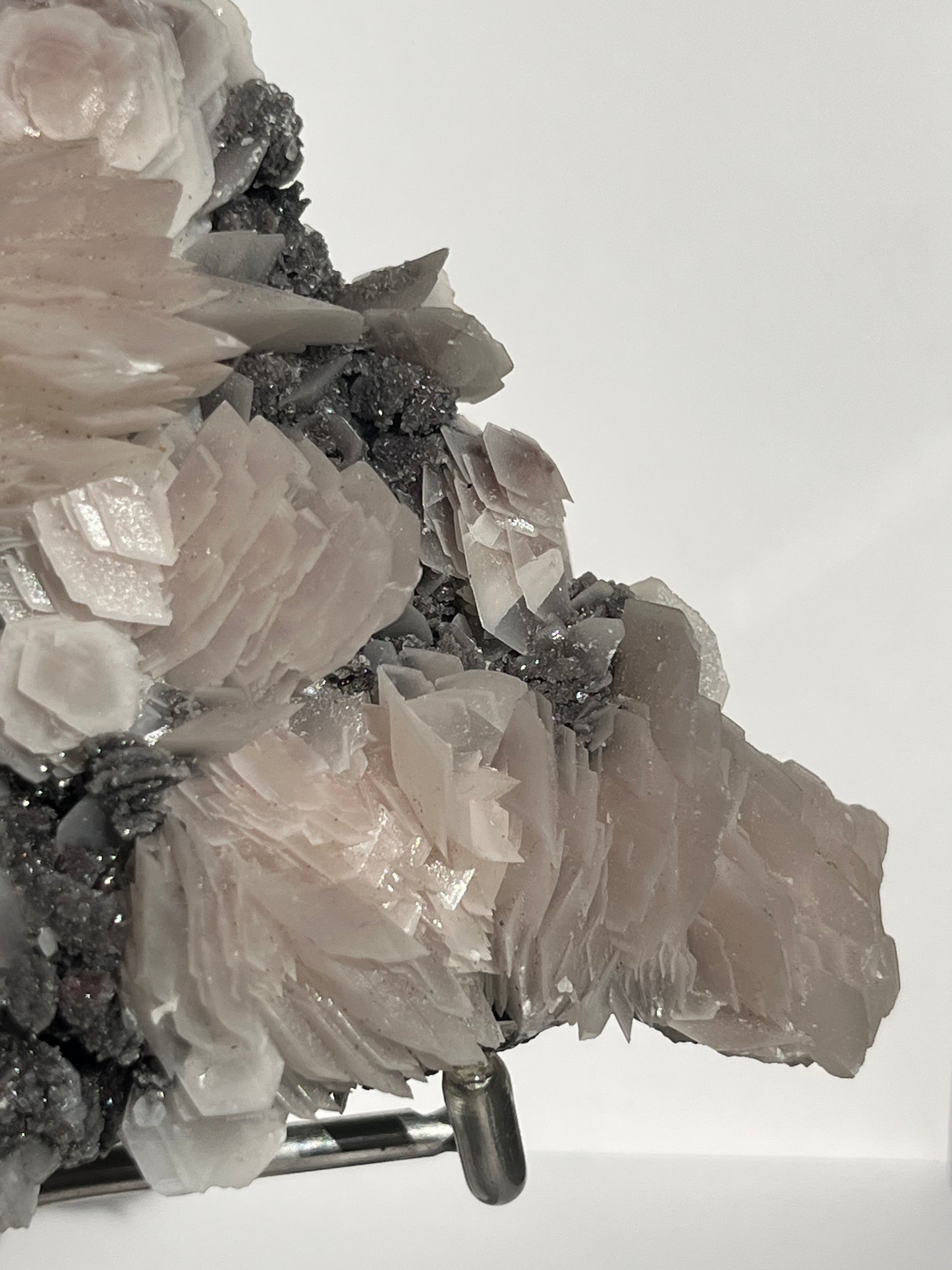 "The Queen of the Night" Pink Sakura Blossom Calcite on Quartz Coated Matrix Specimen with Custom Stand (Collector' Choice)