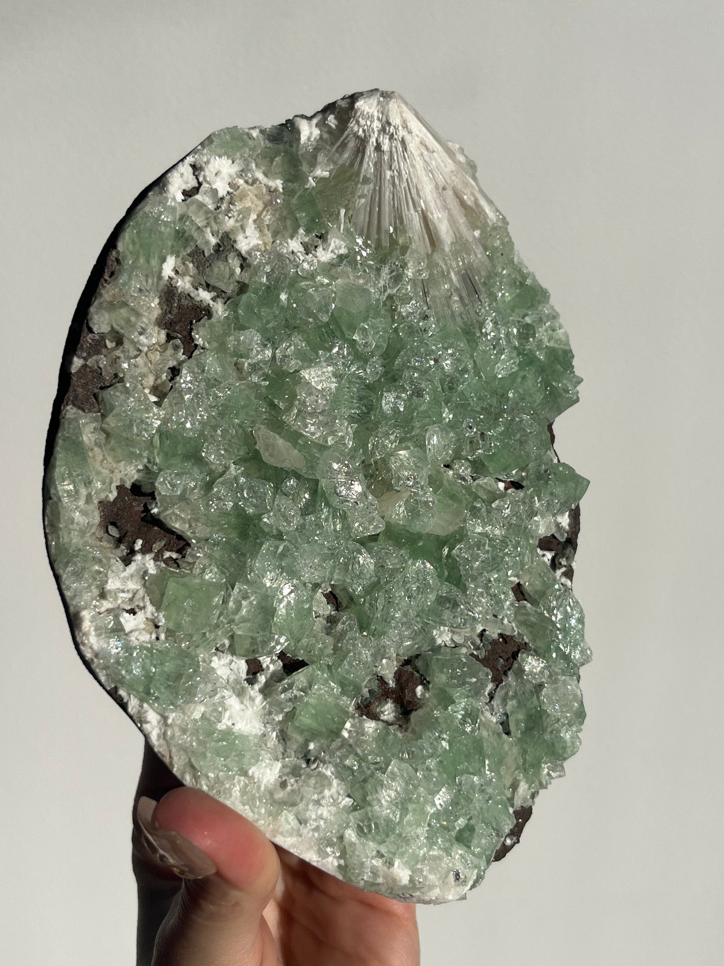 Pointed Green Apophyllite with Scolecite Spray Specimen A