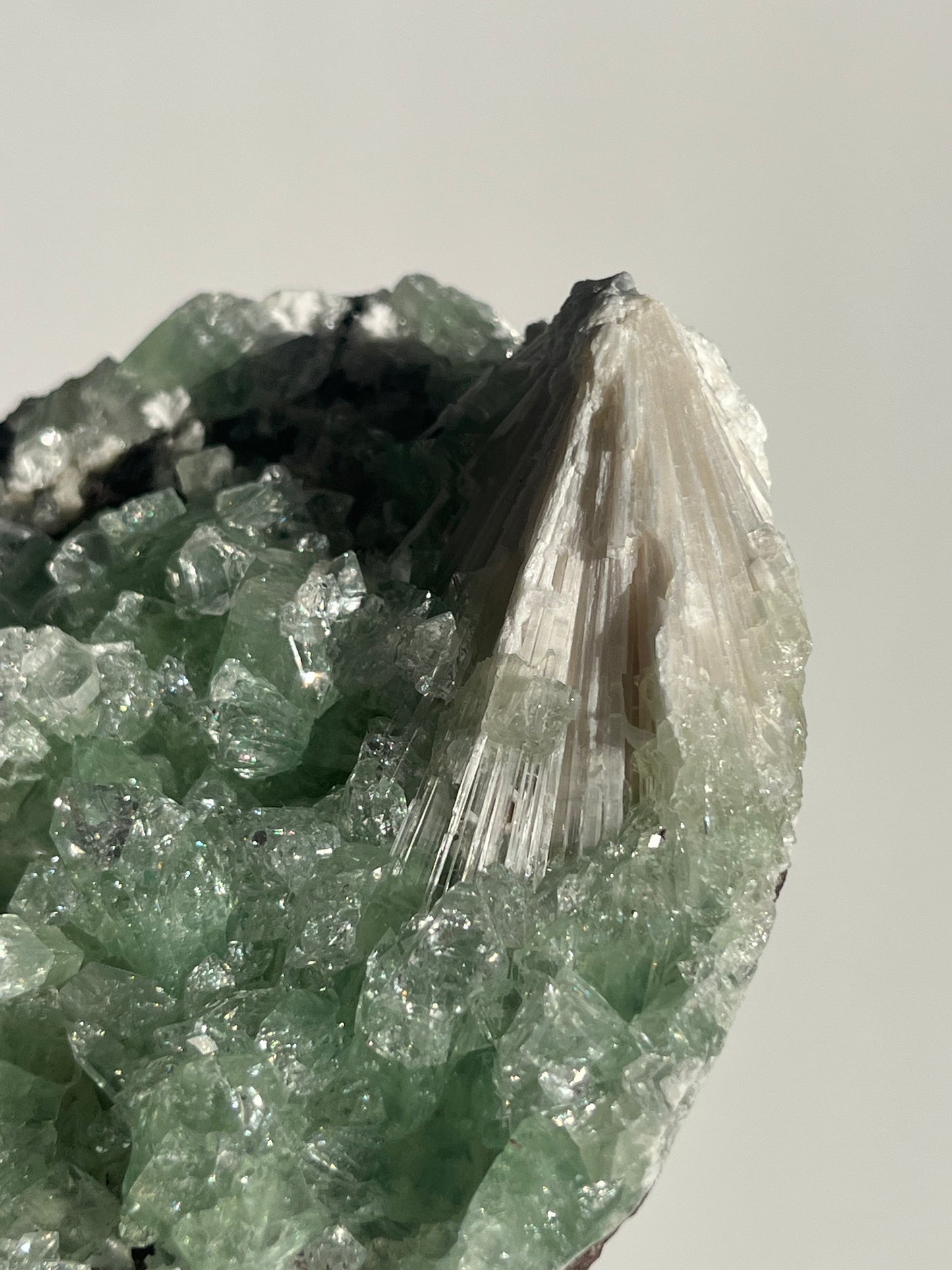 Pointed Green Apophyllite with Scolecite Spray Specimen A