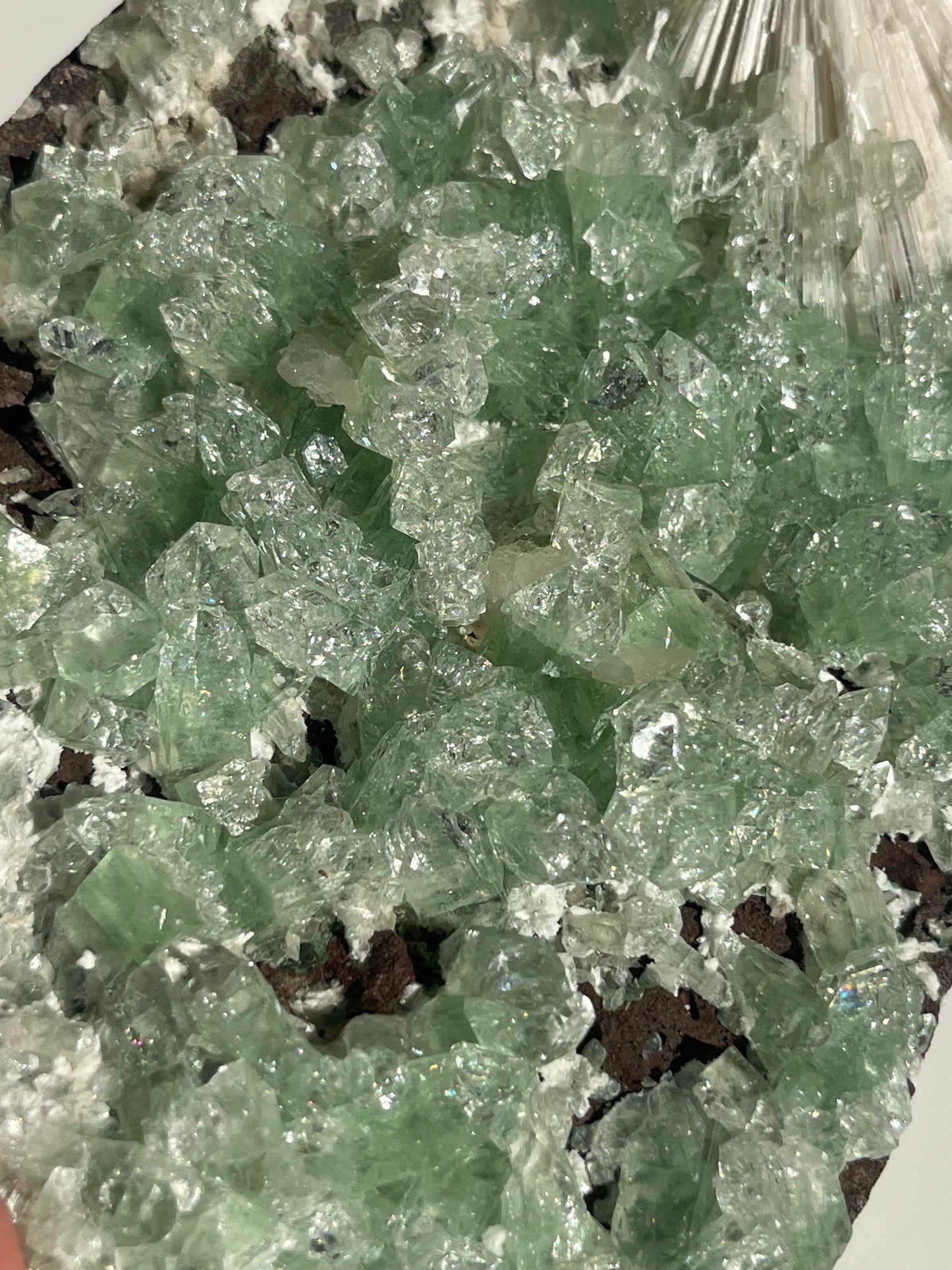 Pointed Green Apophyllite with Scolecite Spray Specimen A