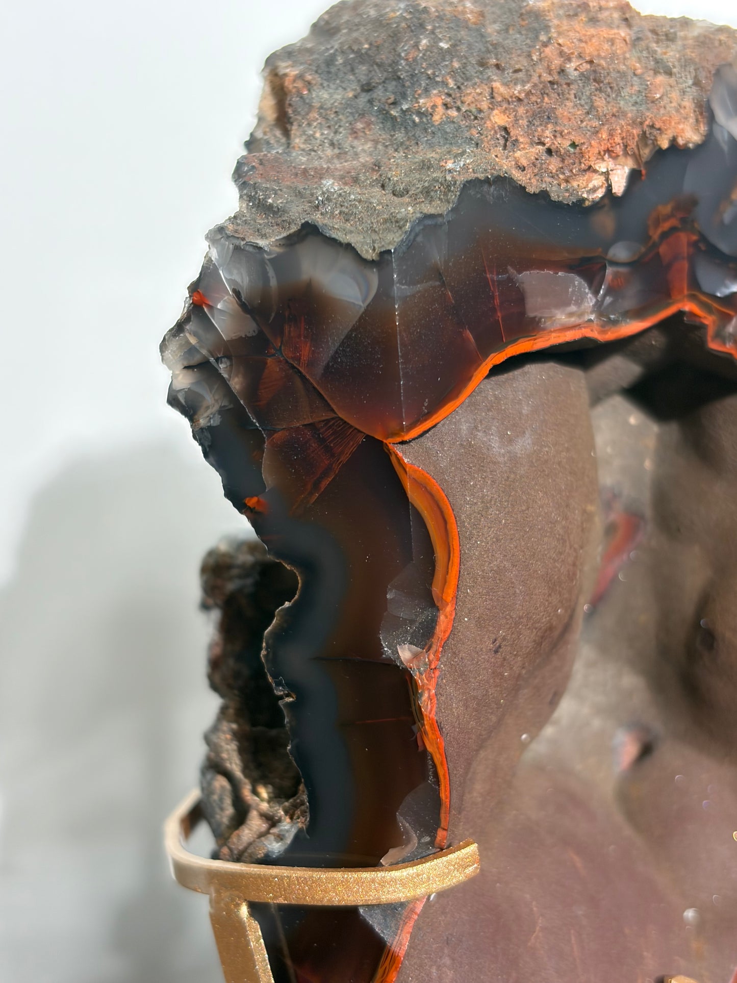 "Roux" Red Fox Agate on Custom Swivel Display Stand B